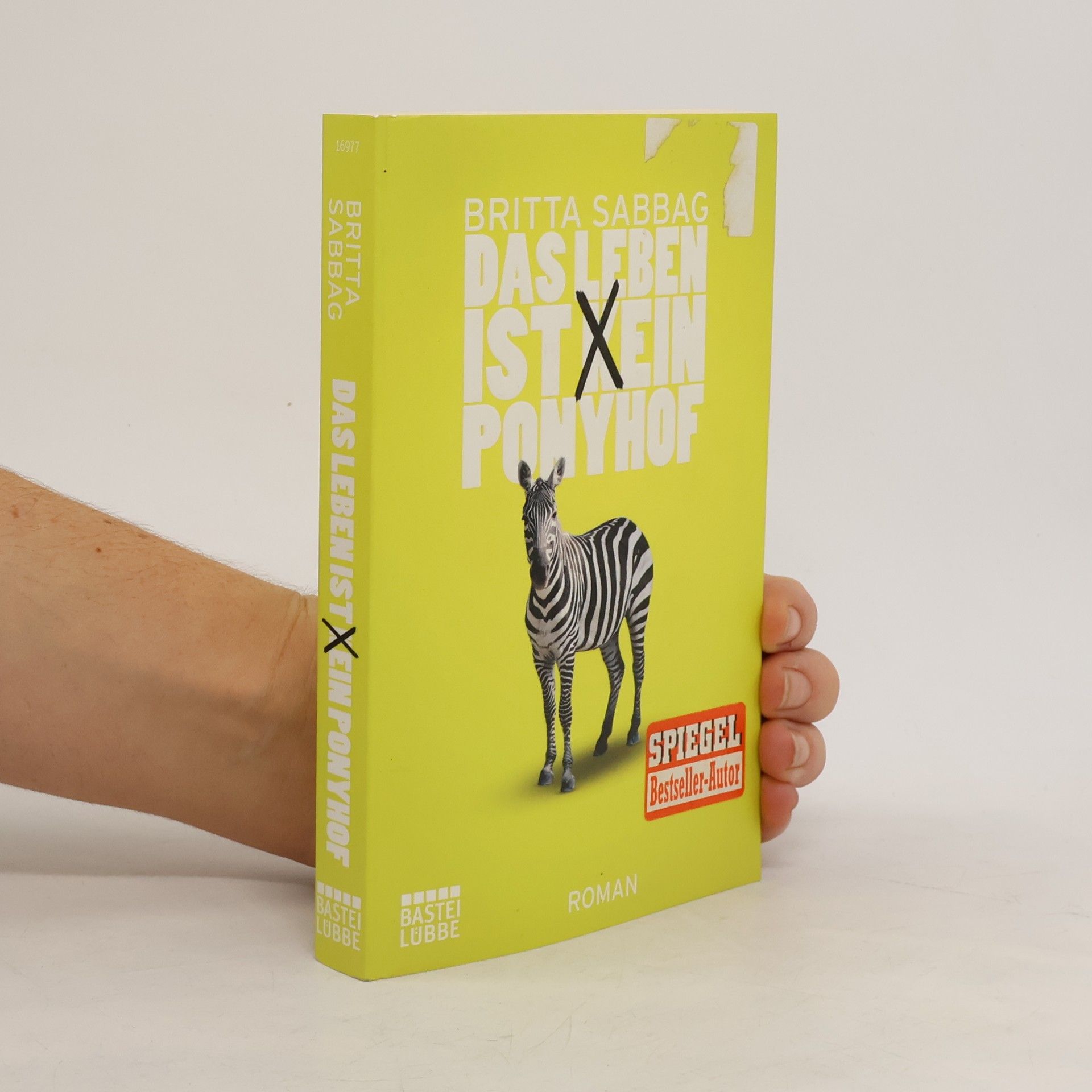 Britta Sabbag Das Leben ist (k)ein Ponyhof