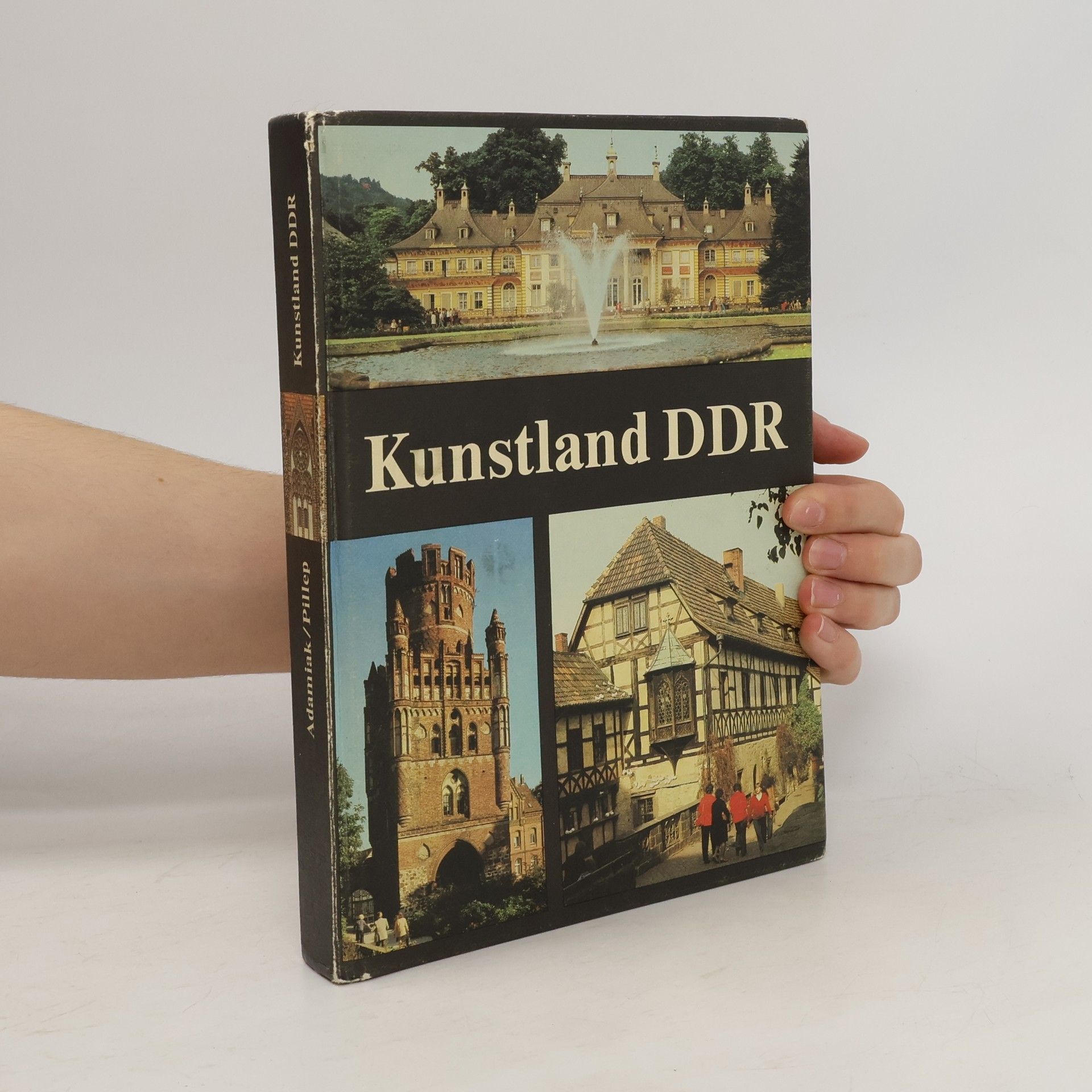 Kolektiv autorů Kunstland DDR