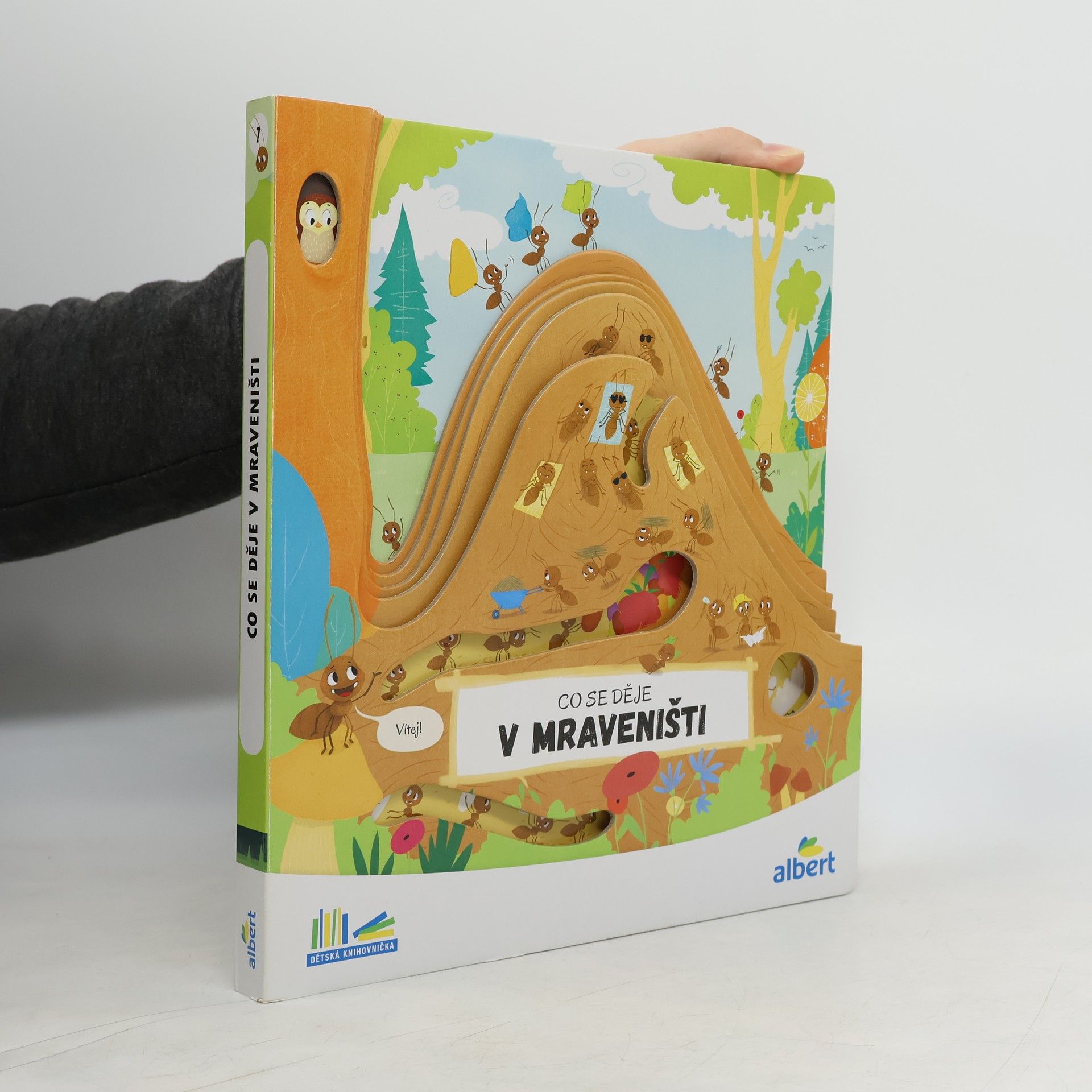 Kolektiv autorů Co se děje v mraveništi