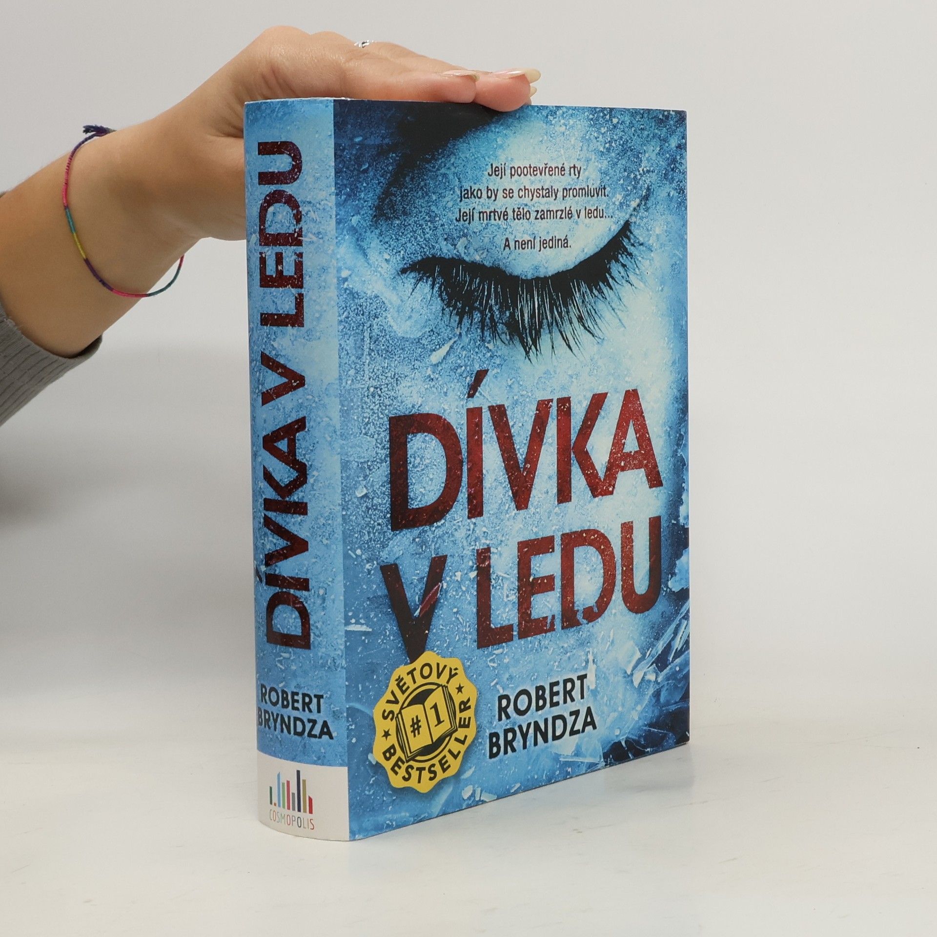 Robert Bryndza Dívka v ledu