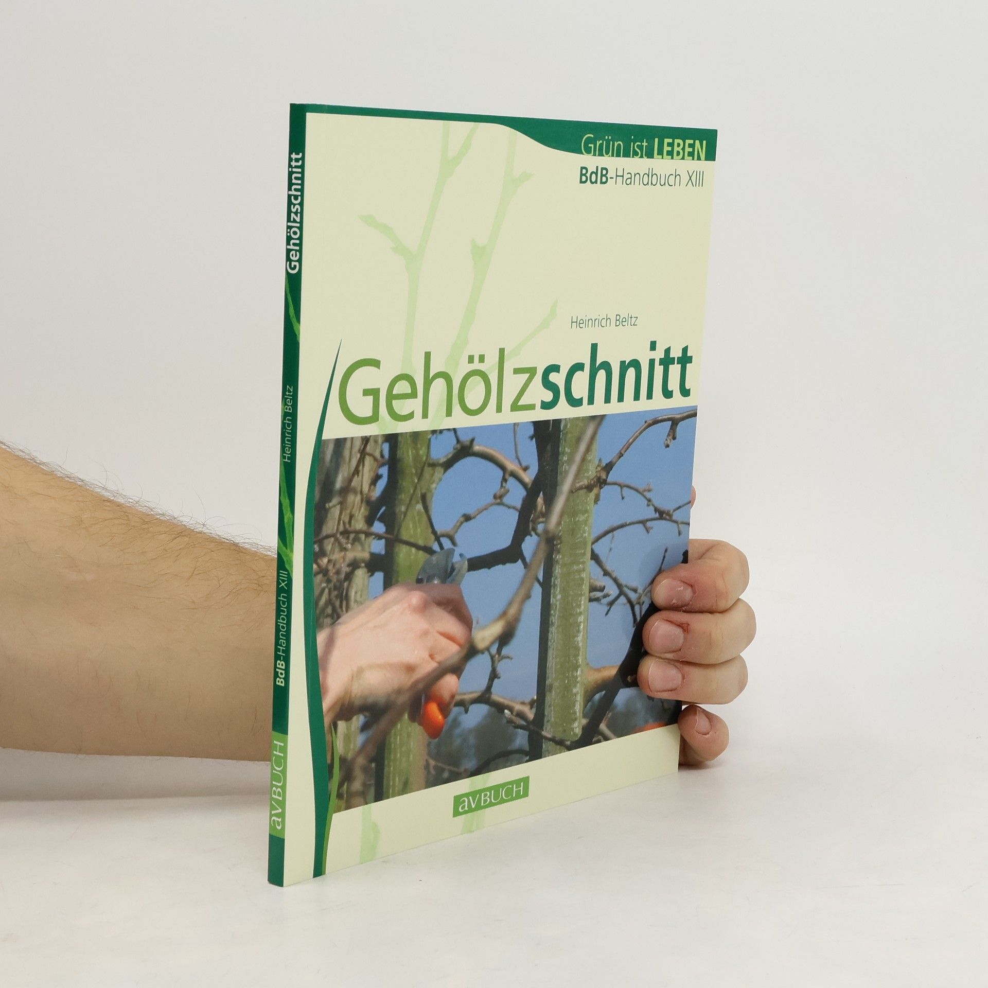 Heinrich Beltz Gehölzschnitt