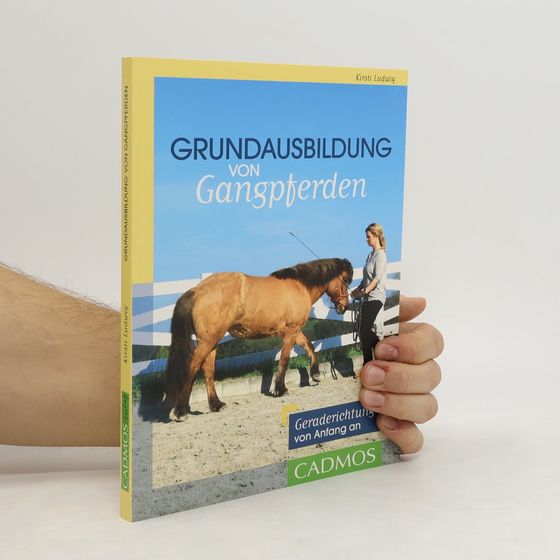 Kirsti Ludwig Grundausbildung von Gangpferden