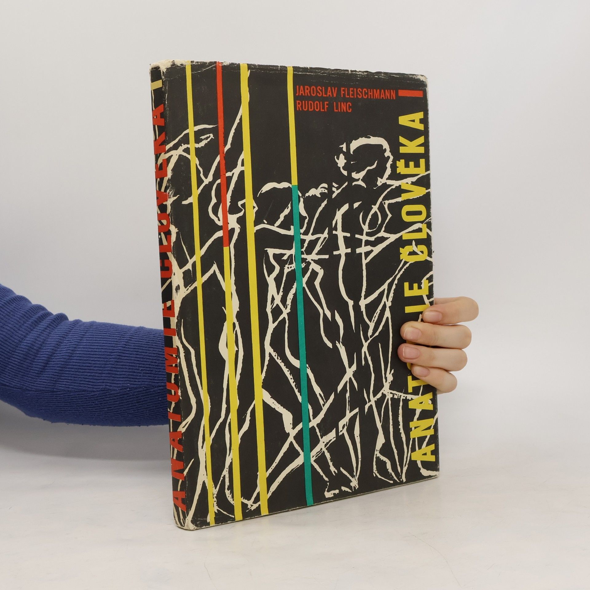 Rudolf Linc Anatomie člověka I