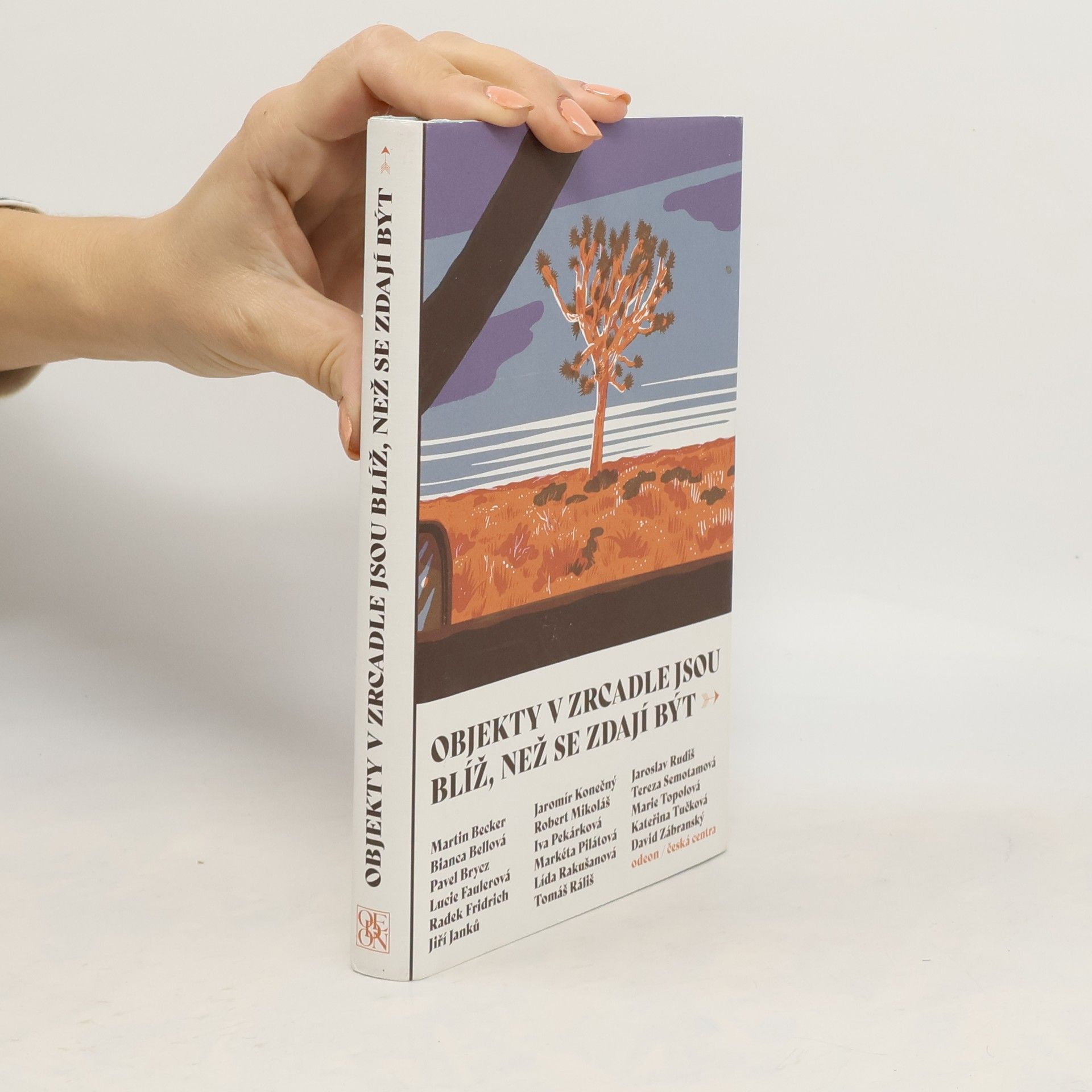 Kolektiv autorů Objekty v zrcadle jsou blíž, než se zdají být