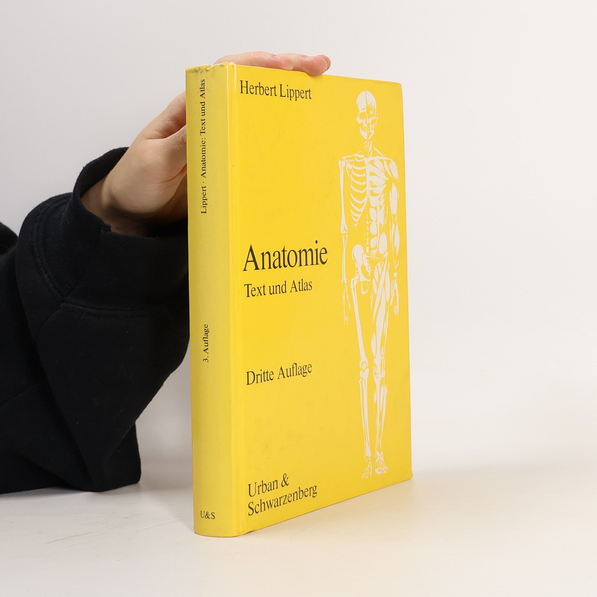 Herbert Lippert Anatomie. Text und Atlas