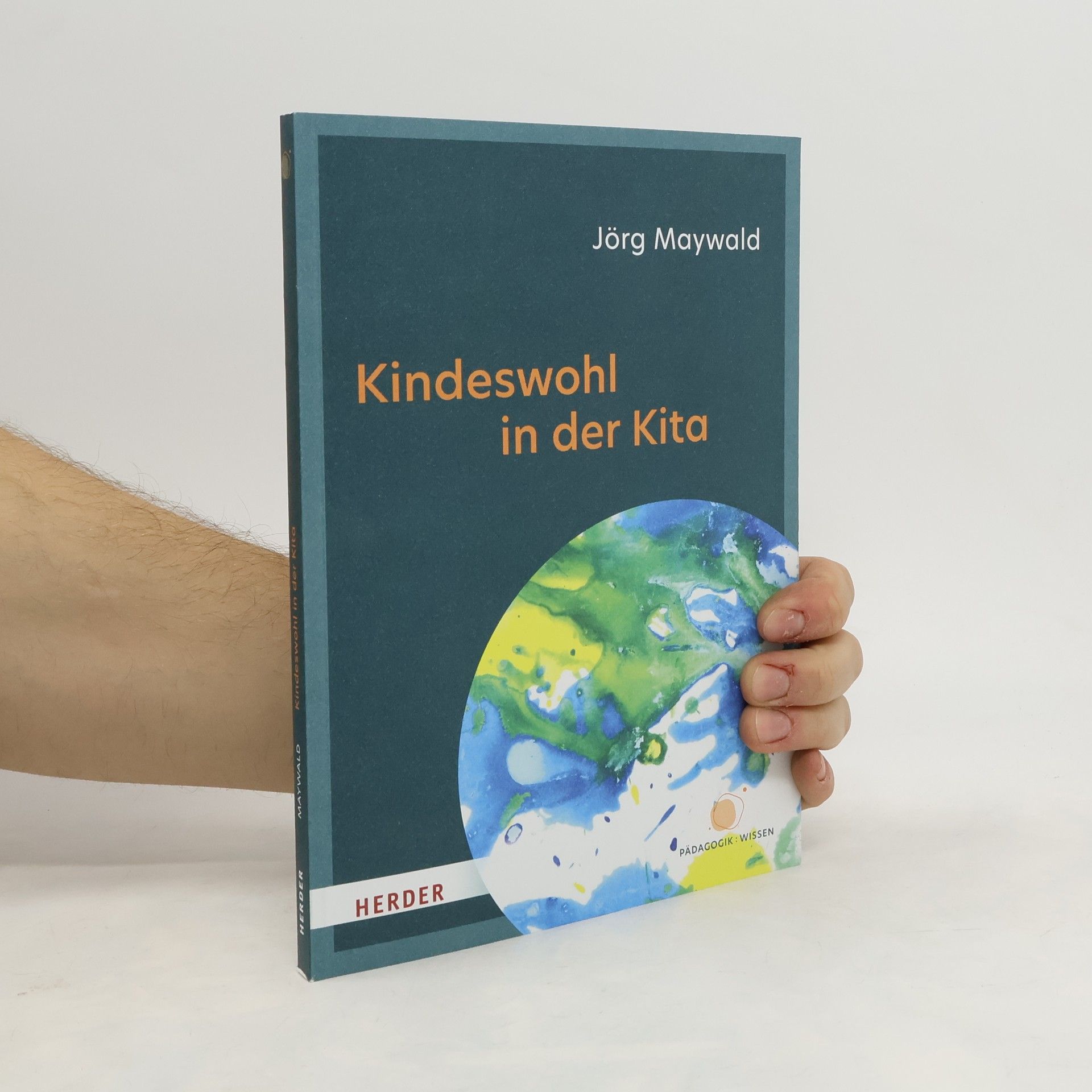 Jörg Maywald Kindeswohl in der Kita