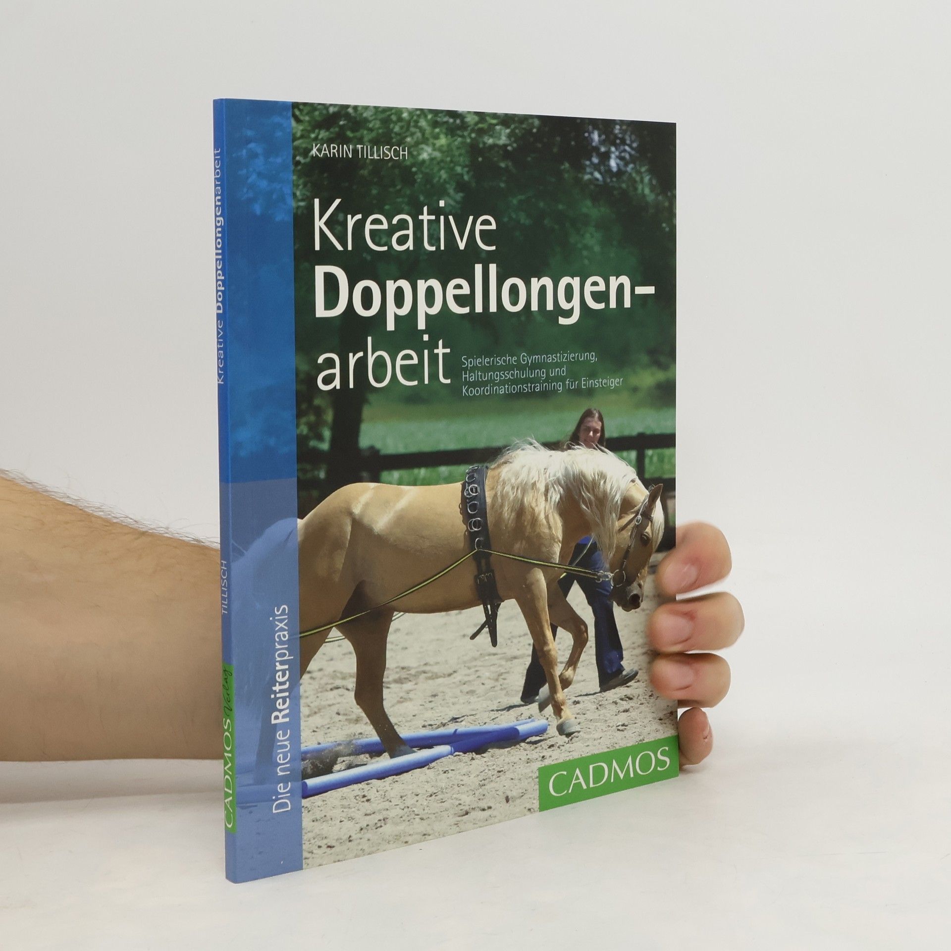 Karin Tillisch Kreative Doppellongenarbeit