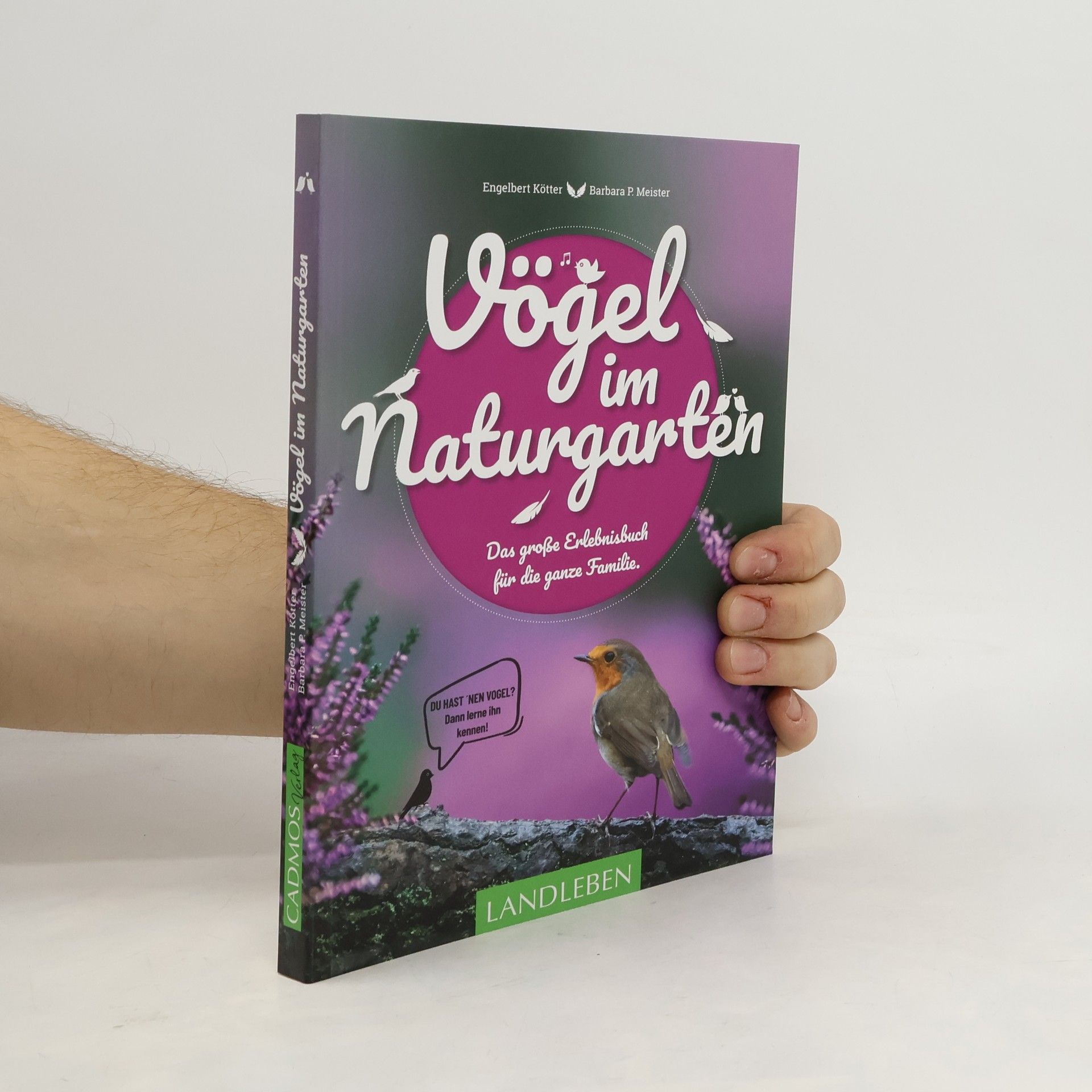 Vögel im Naturgarten