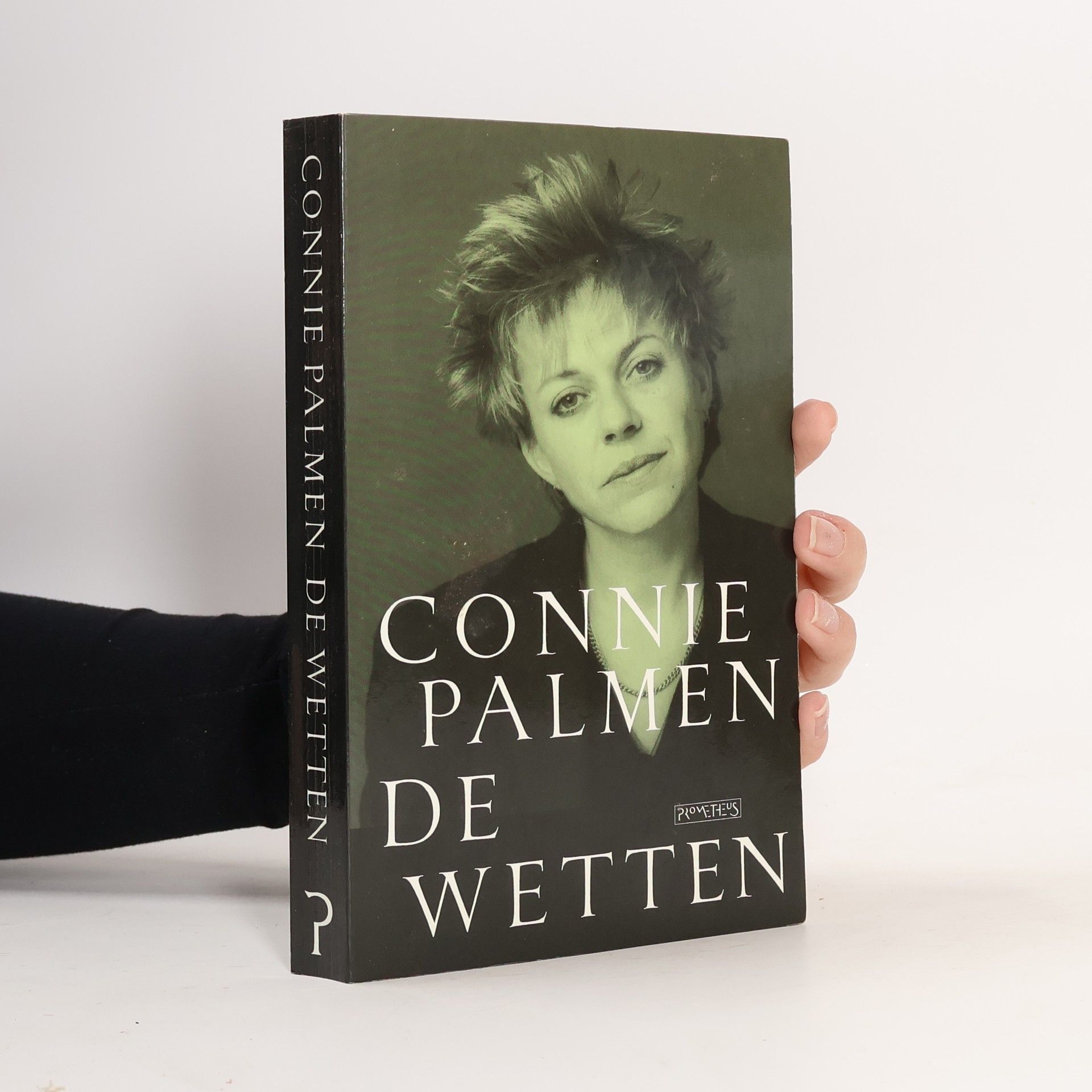 Connie Palmen De wetten
