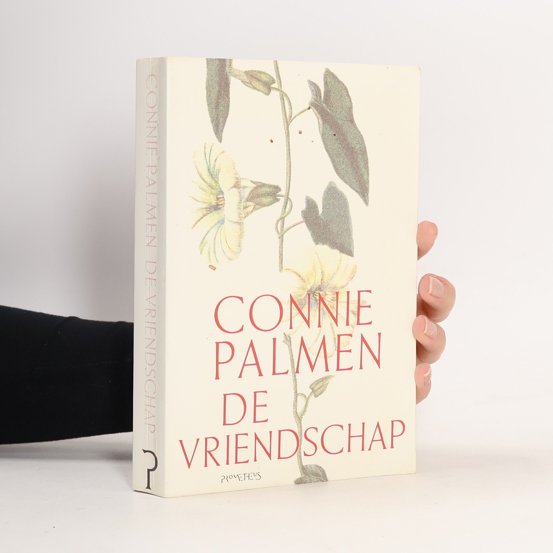 Connie Palmen De vriendschap
