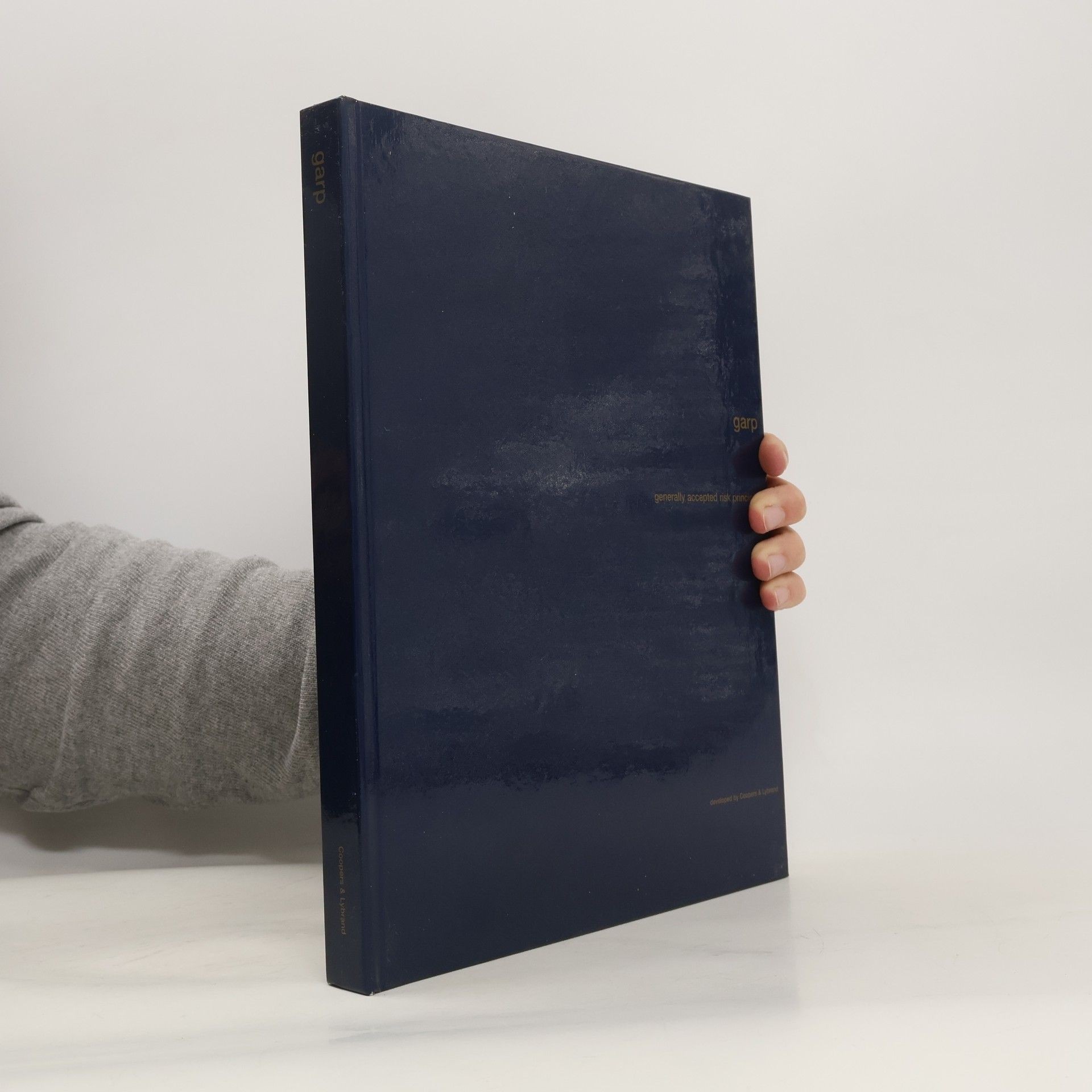 Autores varios Generally Accepted Risk Principles