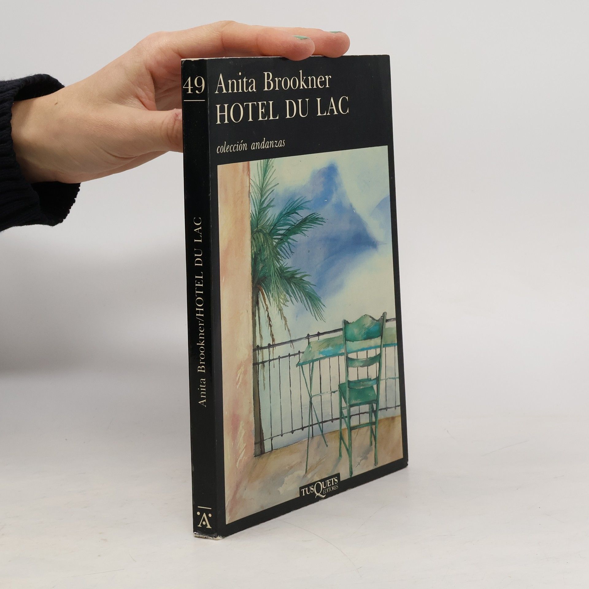 Anita Brookner Hotel du Lac