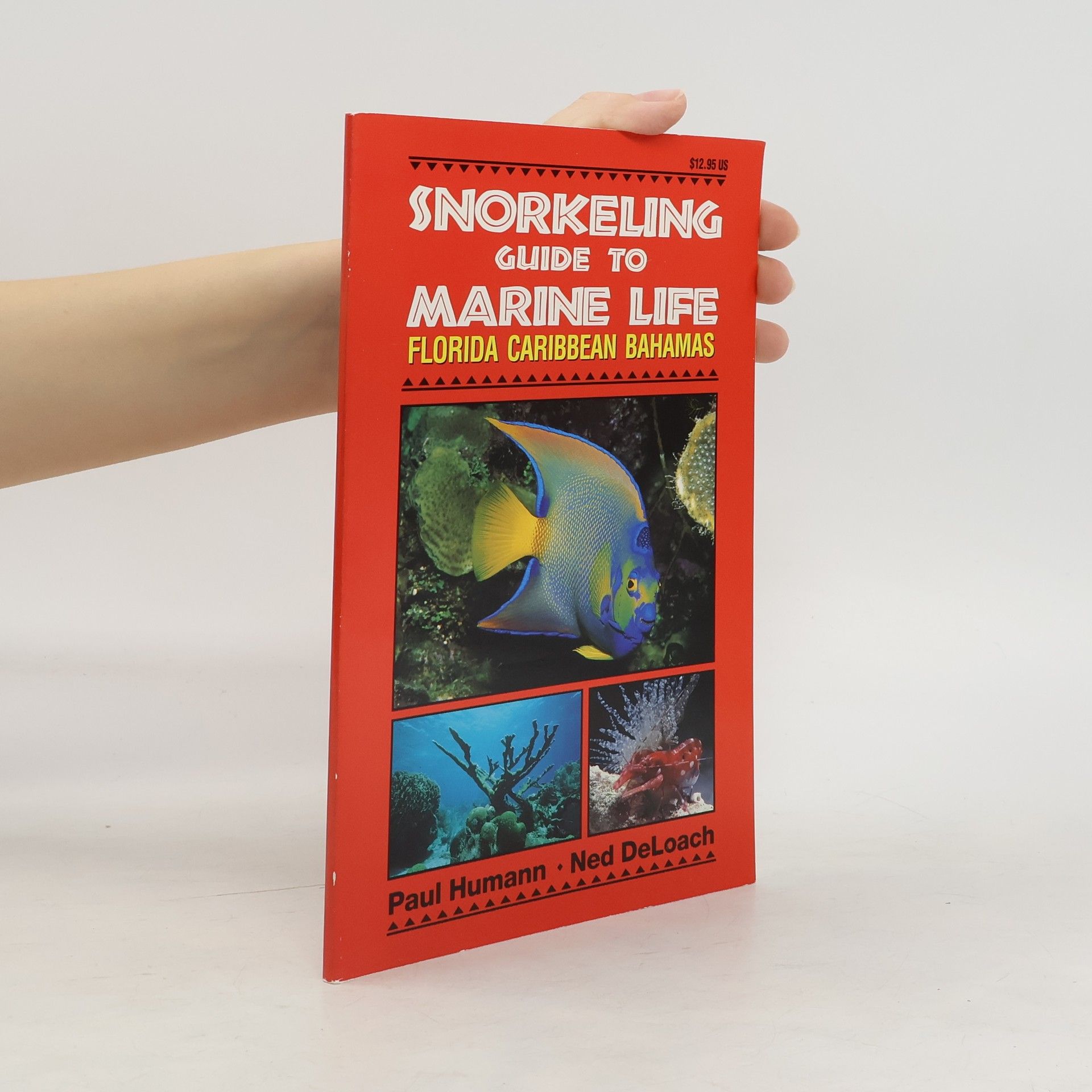 Paul Humann Snorkeling Guide to Marine Life