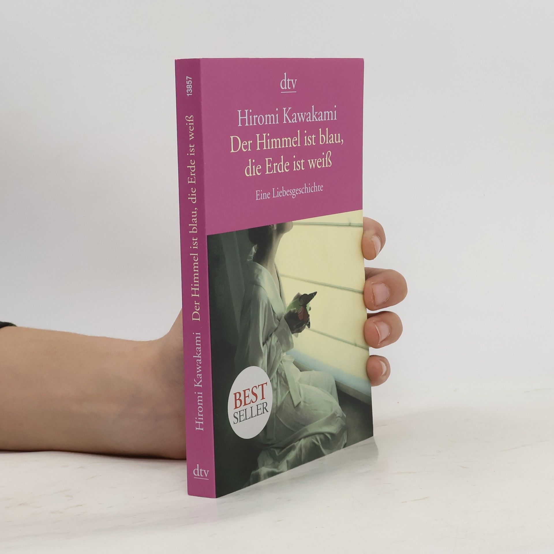 Hiromi Kawakami Der Himmel ist blau, die Erde ist weiß