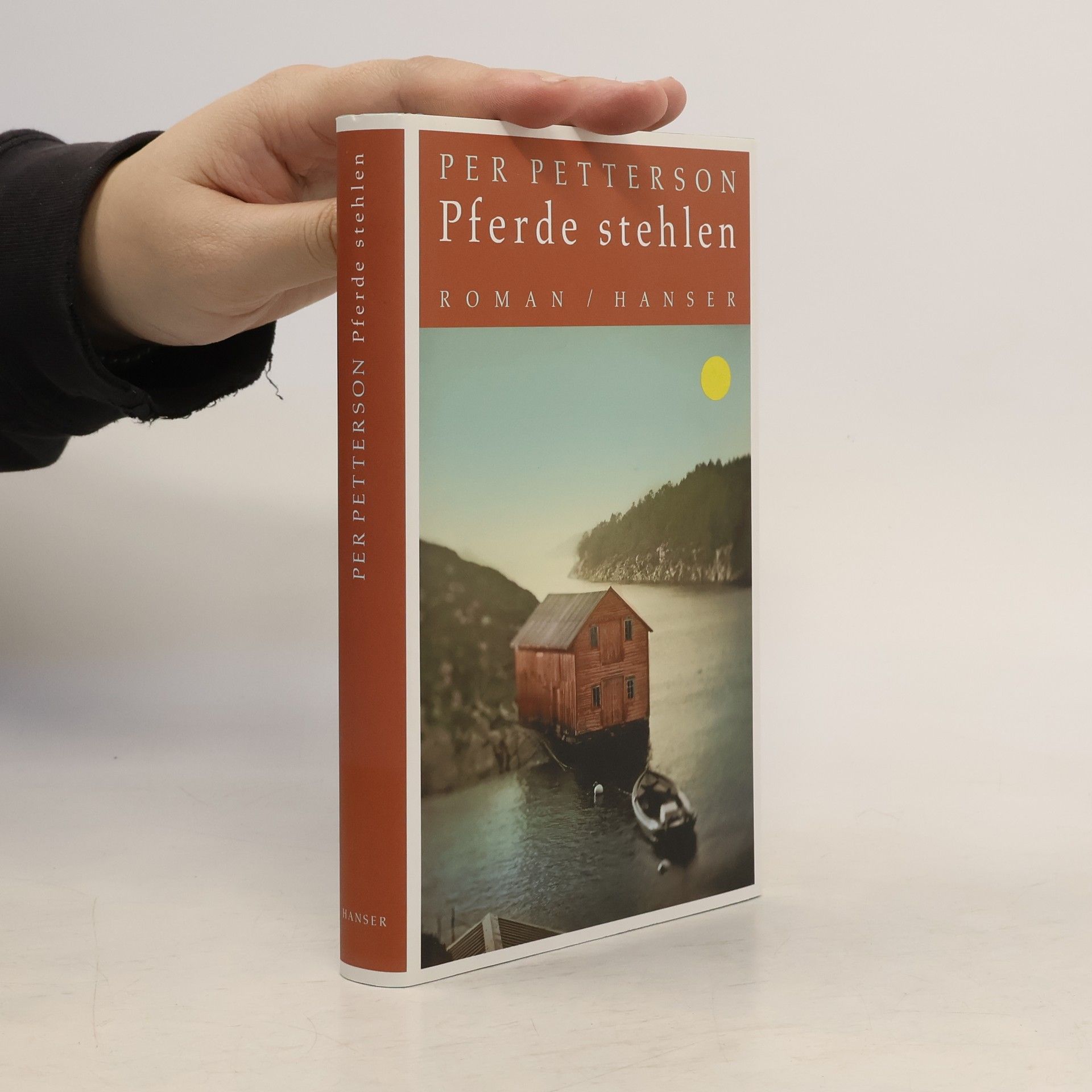 Per Petterson Pferde stehlen