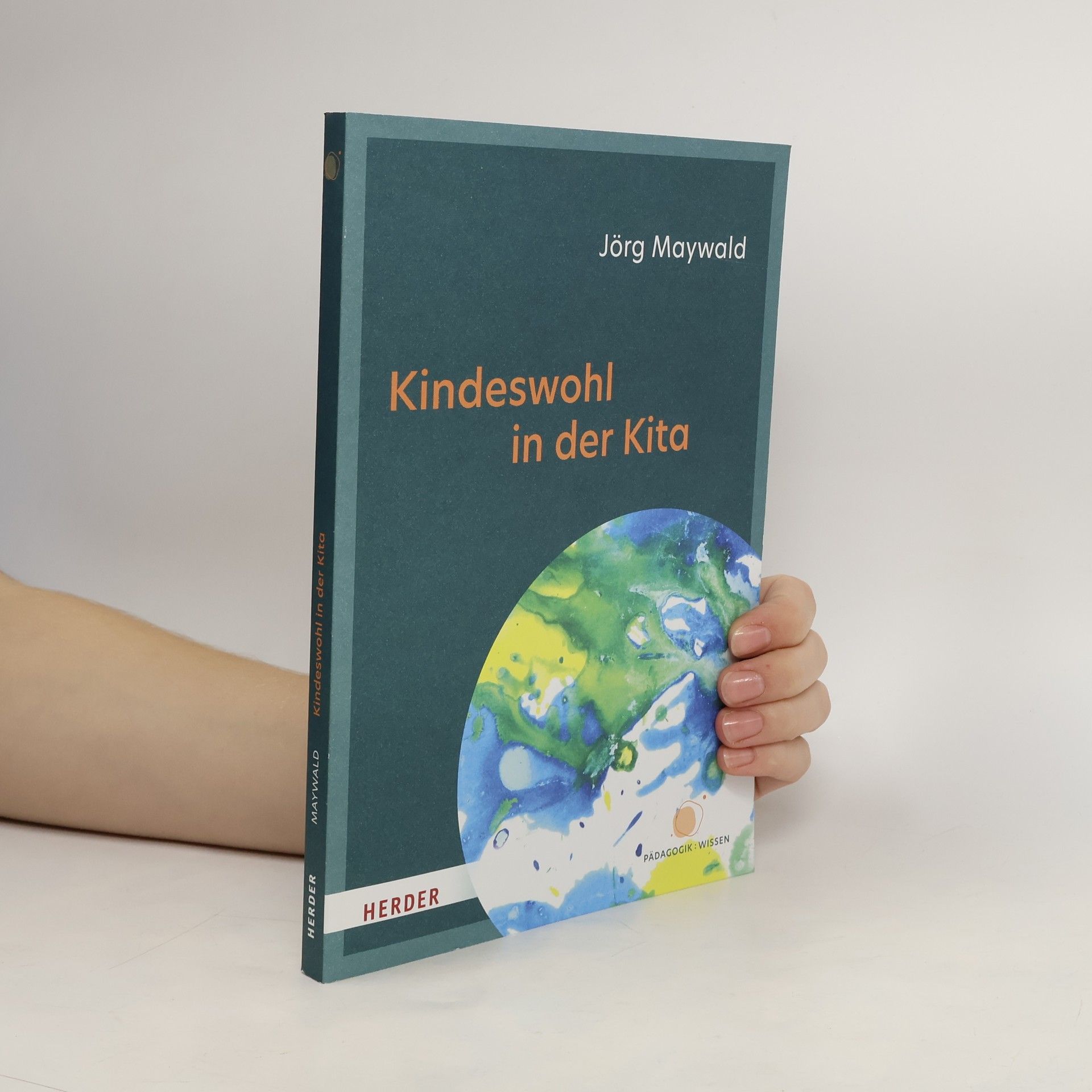 Jörg Maywald Kindeswohl in der Kita