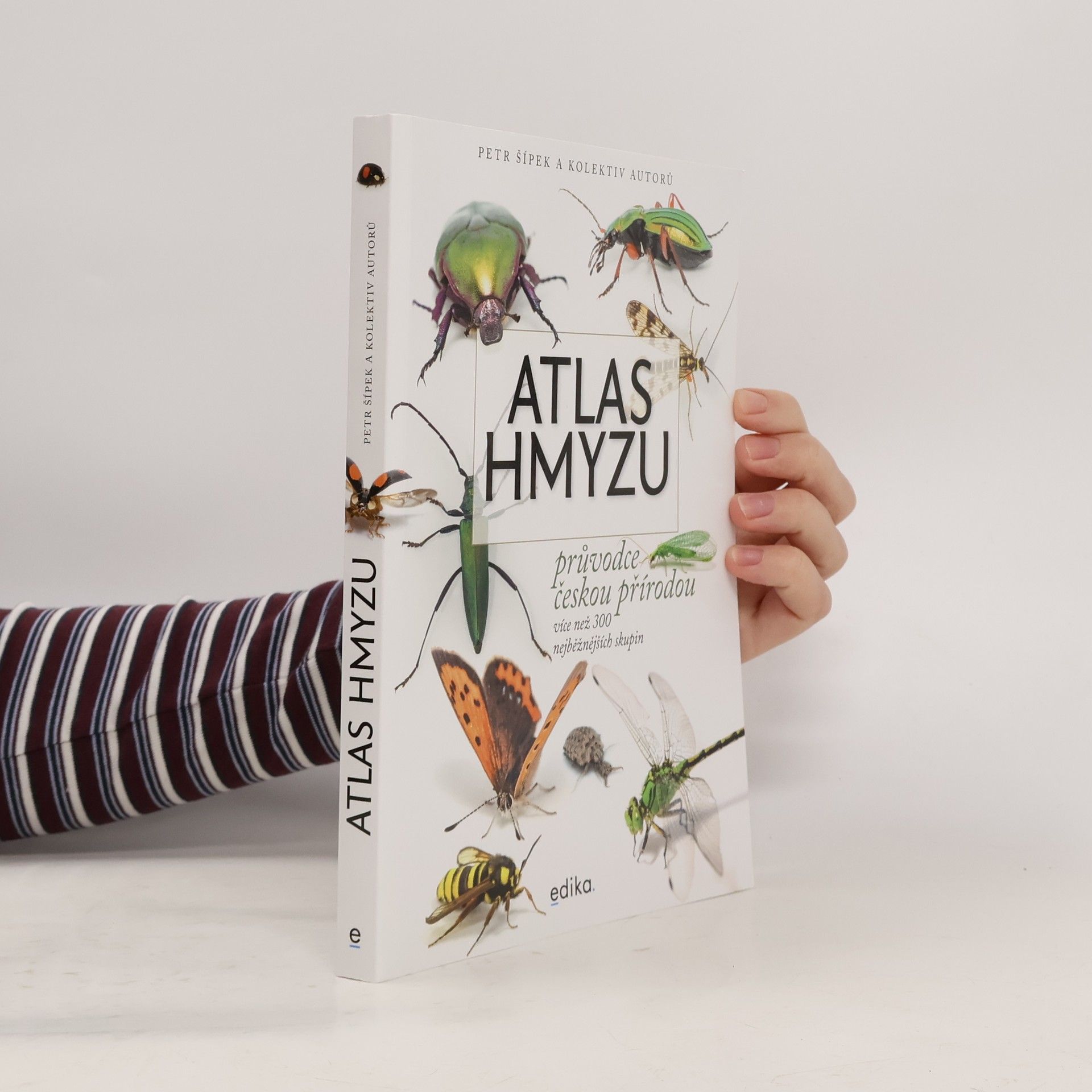 Petr Šípek Atlas hmyzu