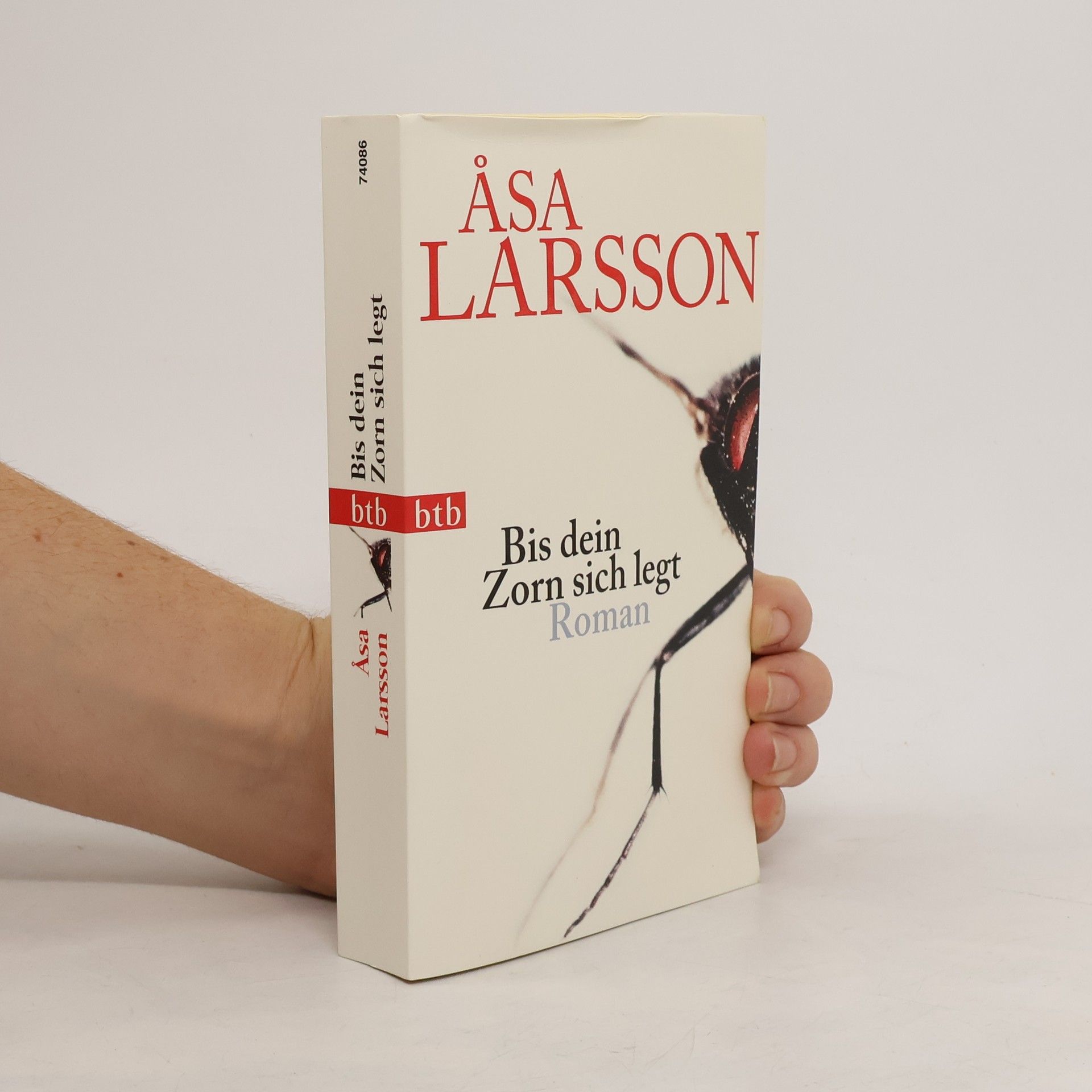 Åsa Larsson Bis dein Zorn sich legt