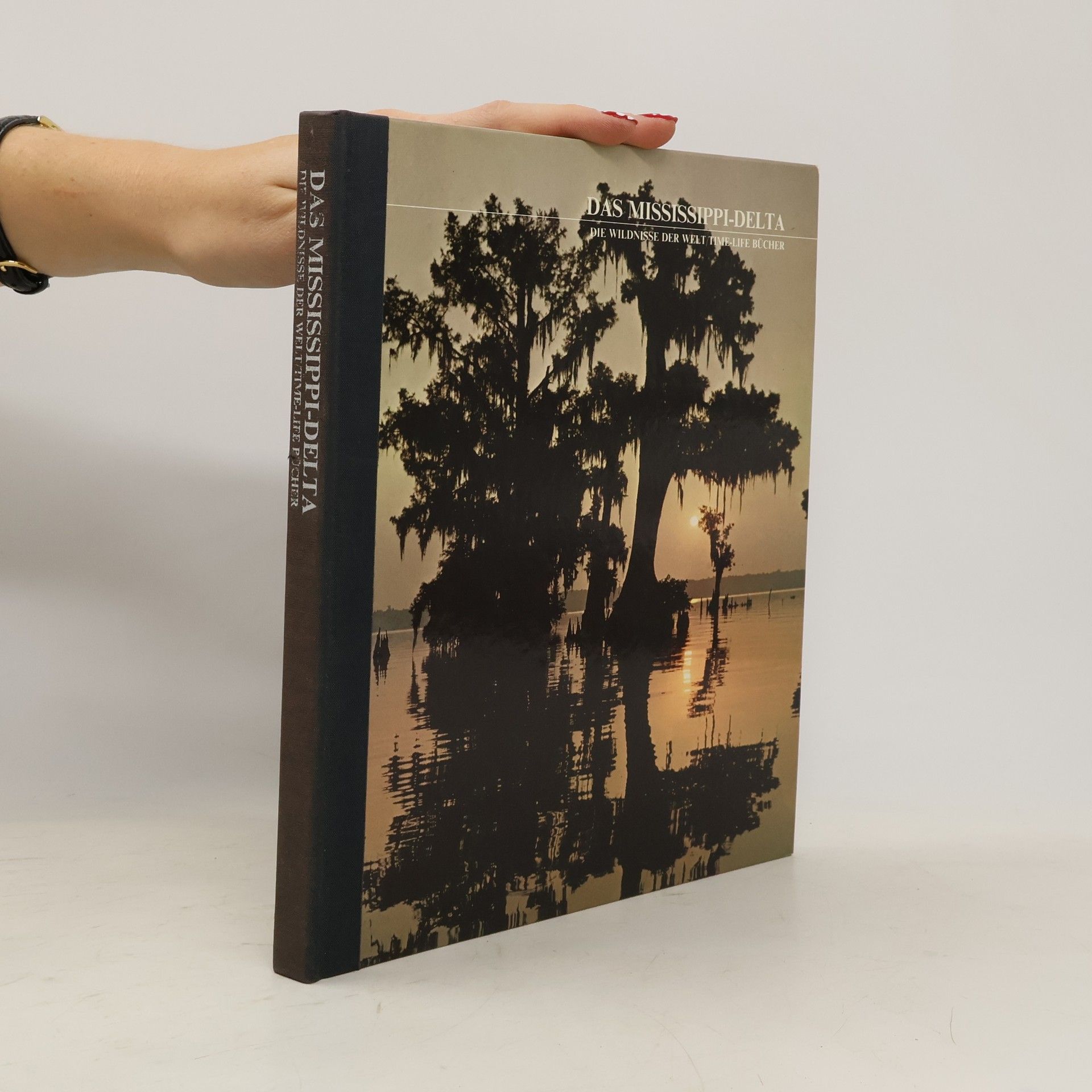 Das Mississippi-Delta