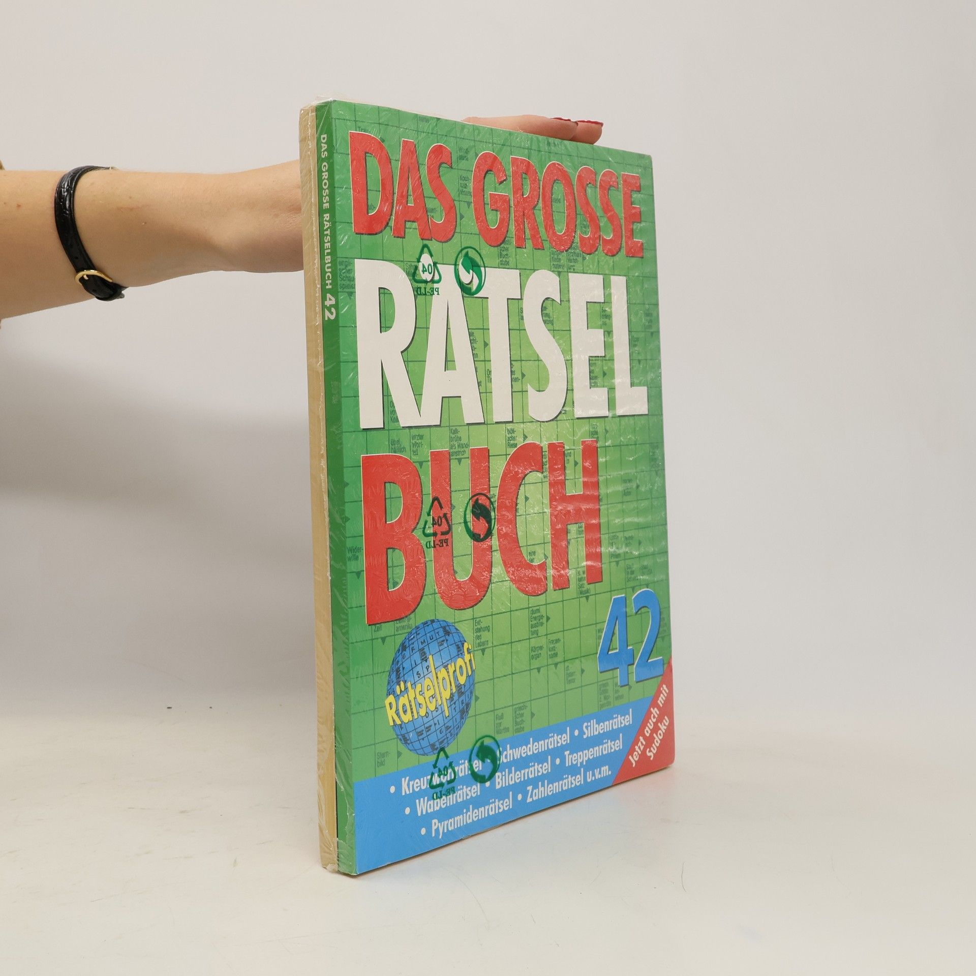 kolektiv Das grosse Rätselbuch 41-42