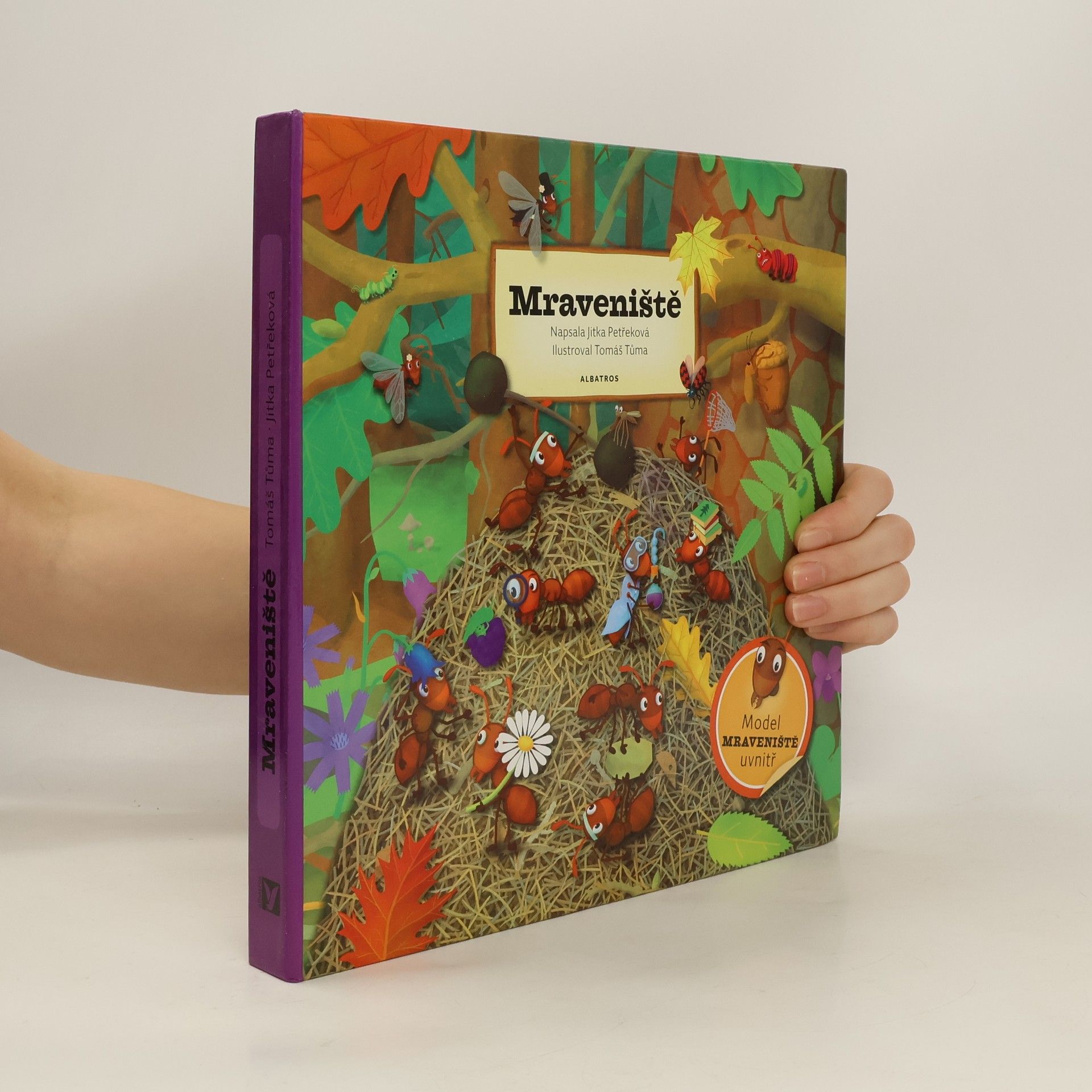 Jitka Petřeková Mraveniště