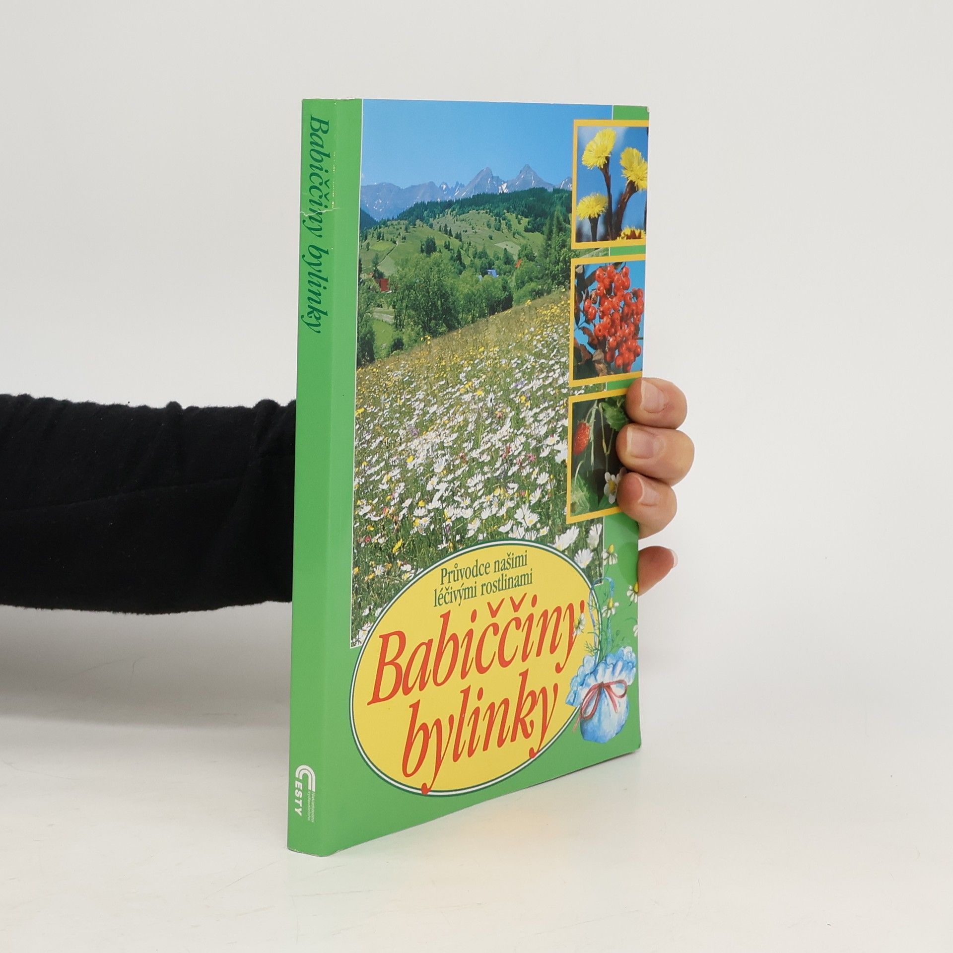 Babiččiny bylinky: Průvodce našimi léčivými rostlinami