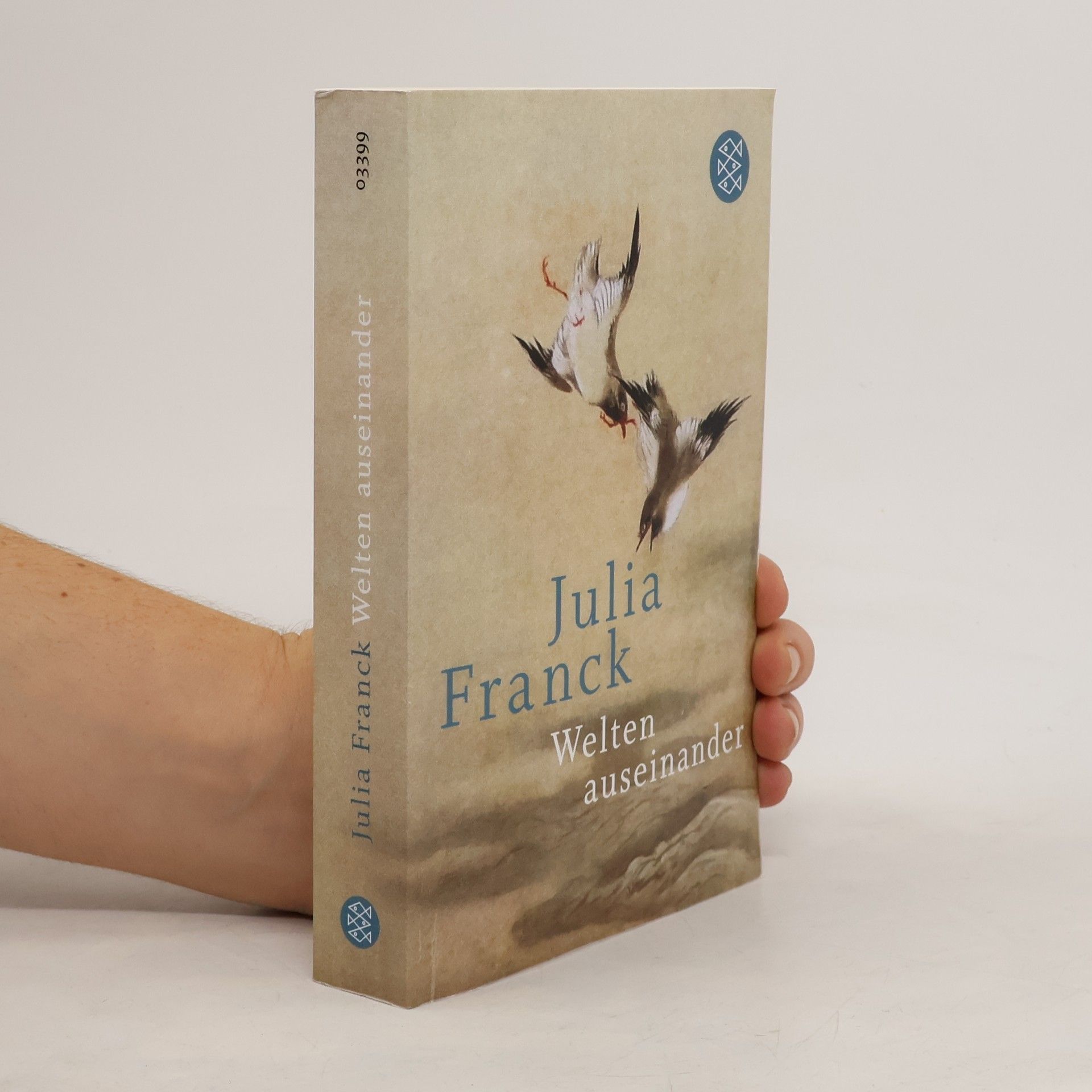 Julia Franck Welten auseinander