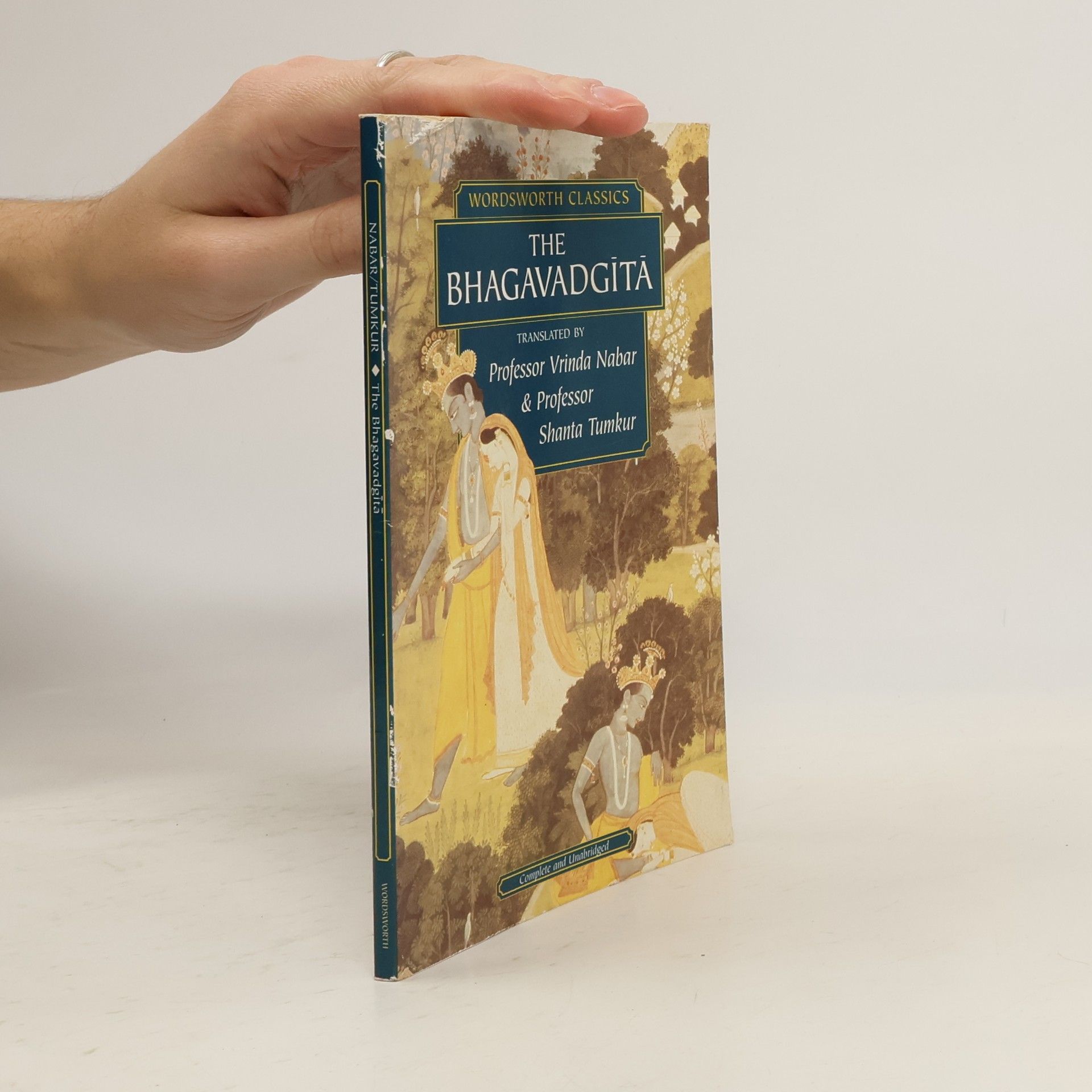 Vrinda Nabar The Bhagavadgītā - Complete and Unabridged