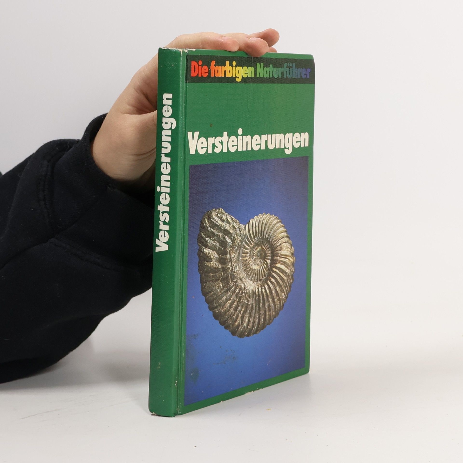 Autores varios Versteinerungen