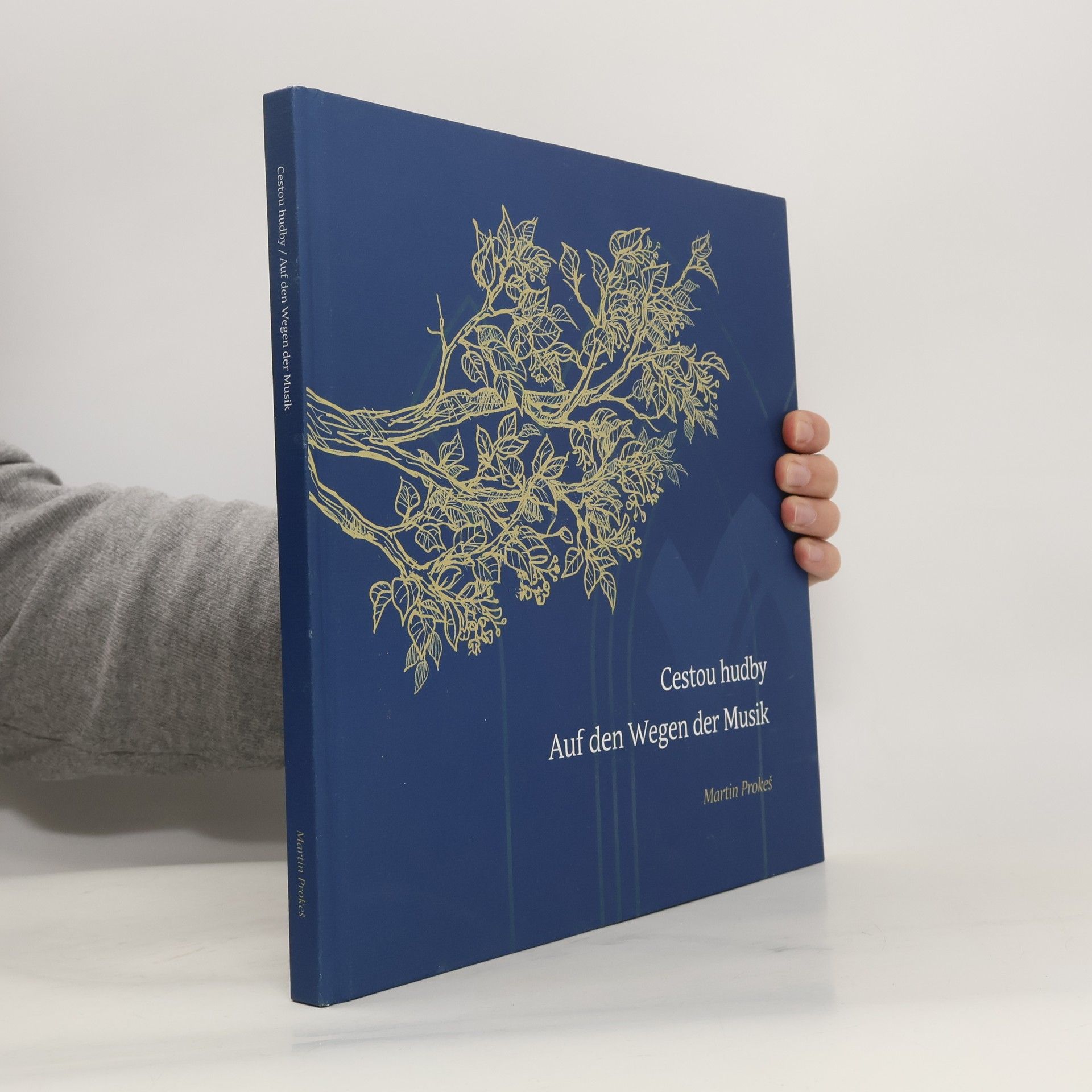 Martin Prokeš Cestou hudby. Auf den Wegen der Musik