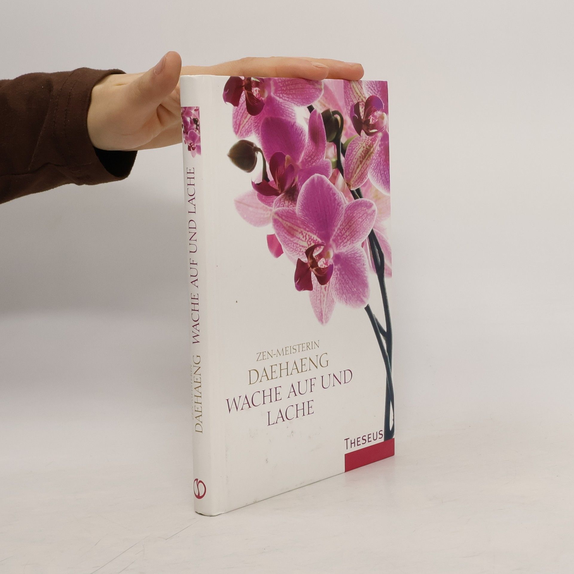 Sŭnim Taehaeng Wache auf und lache