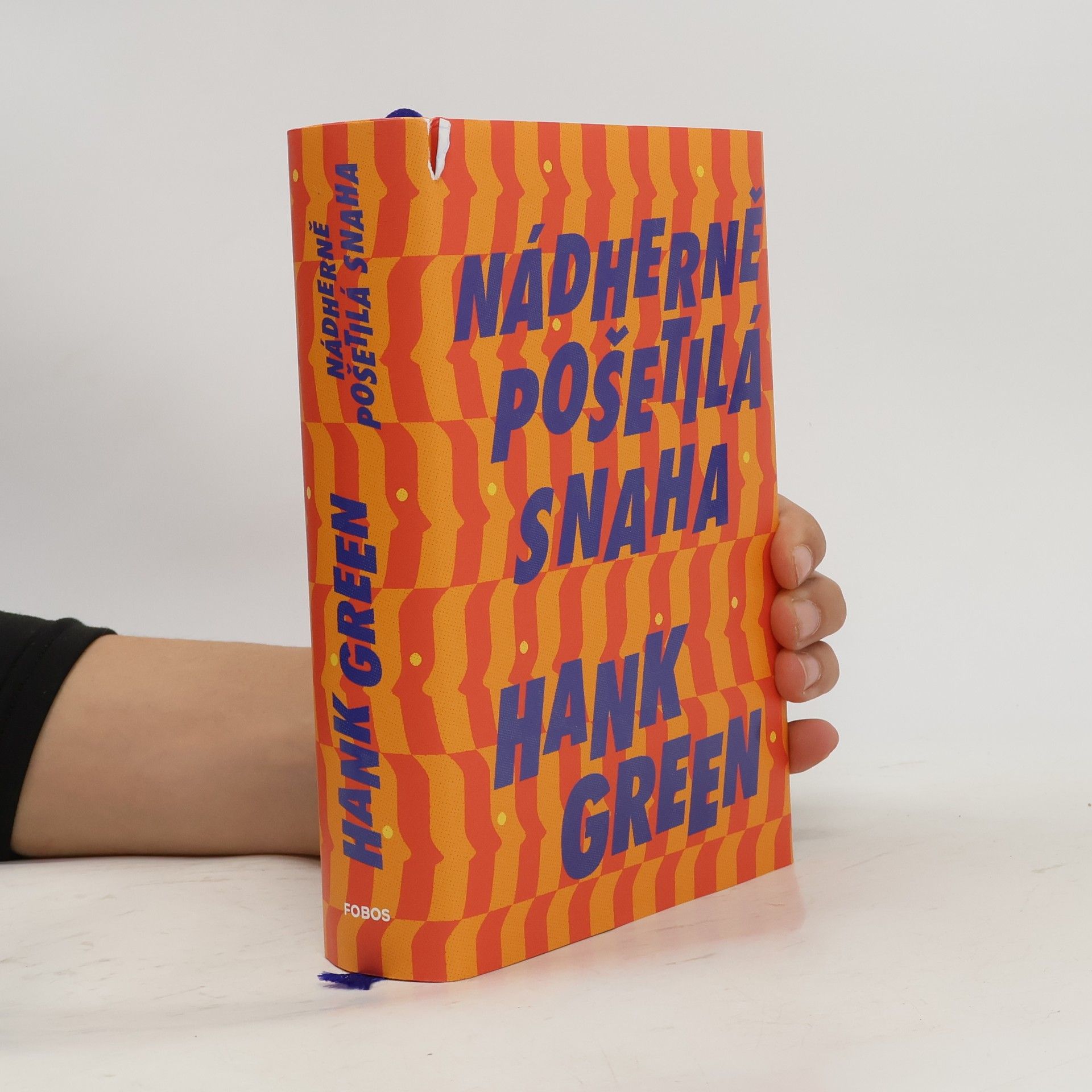 Hank Green Nádherně pošetilá snaha