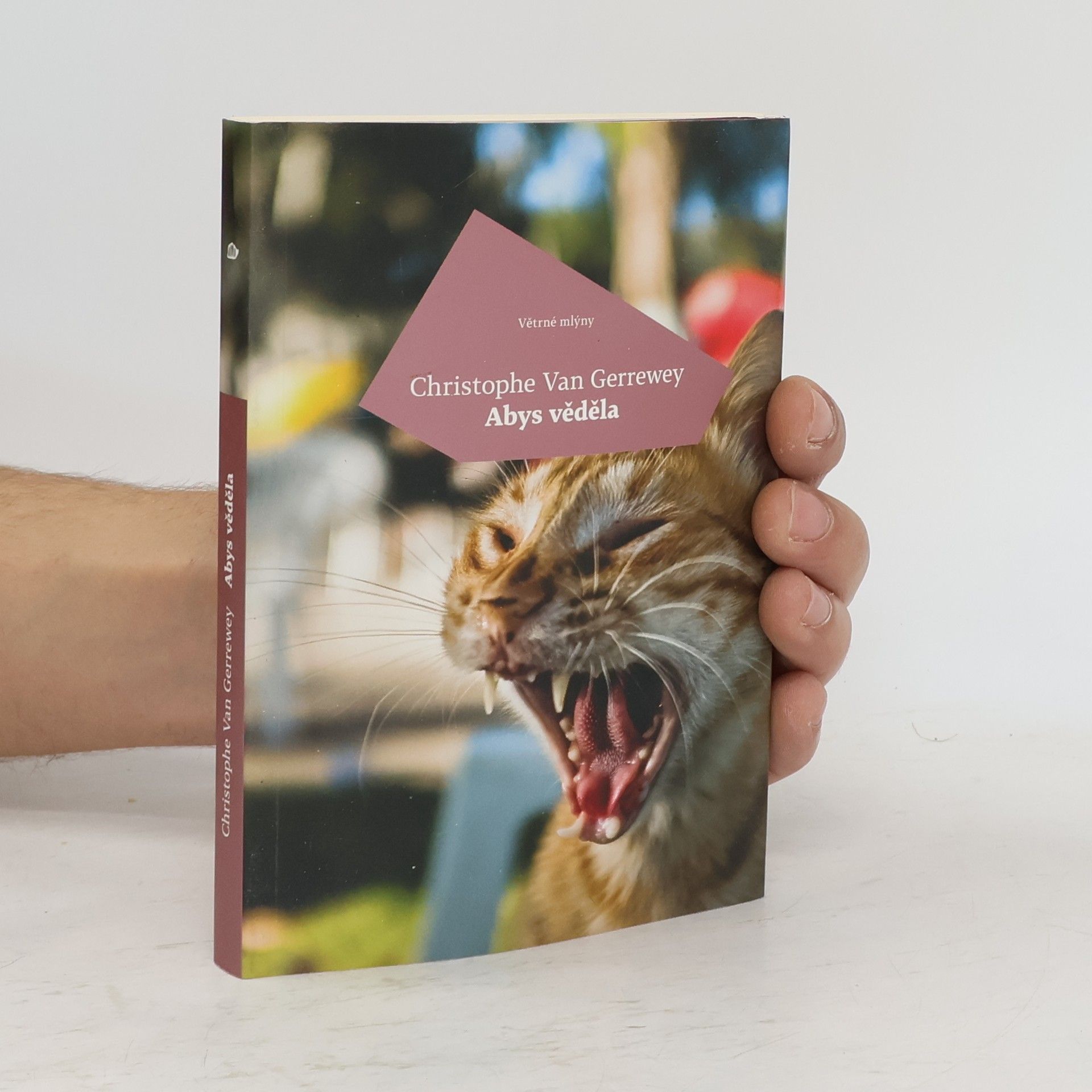 Christophe Van Gerrewey Abys věděla