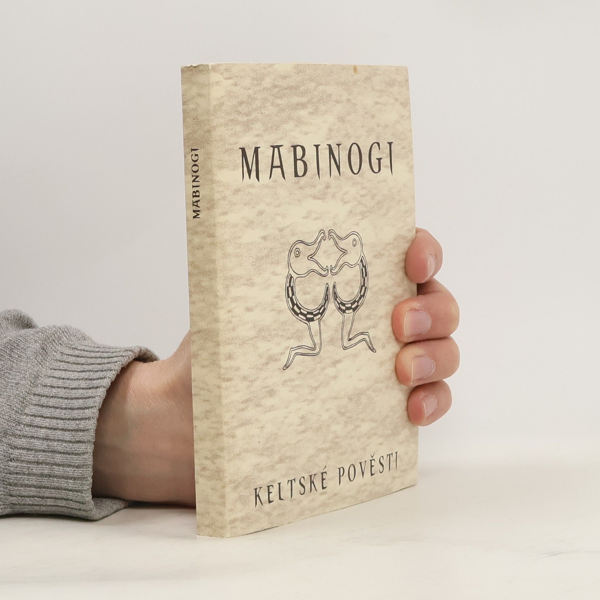 AA.VV. Mabinogi. Keltské pověsti