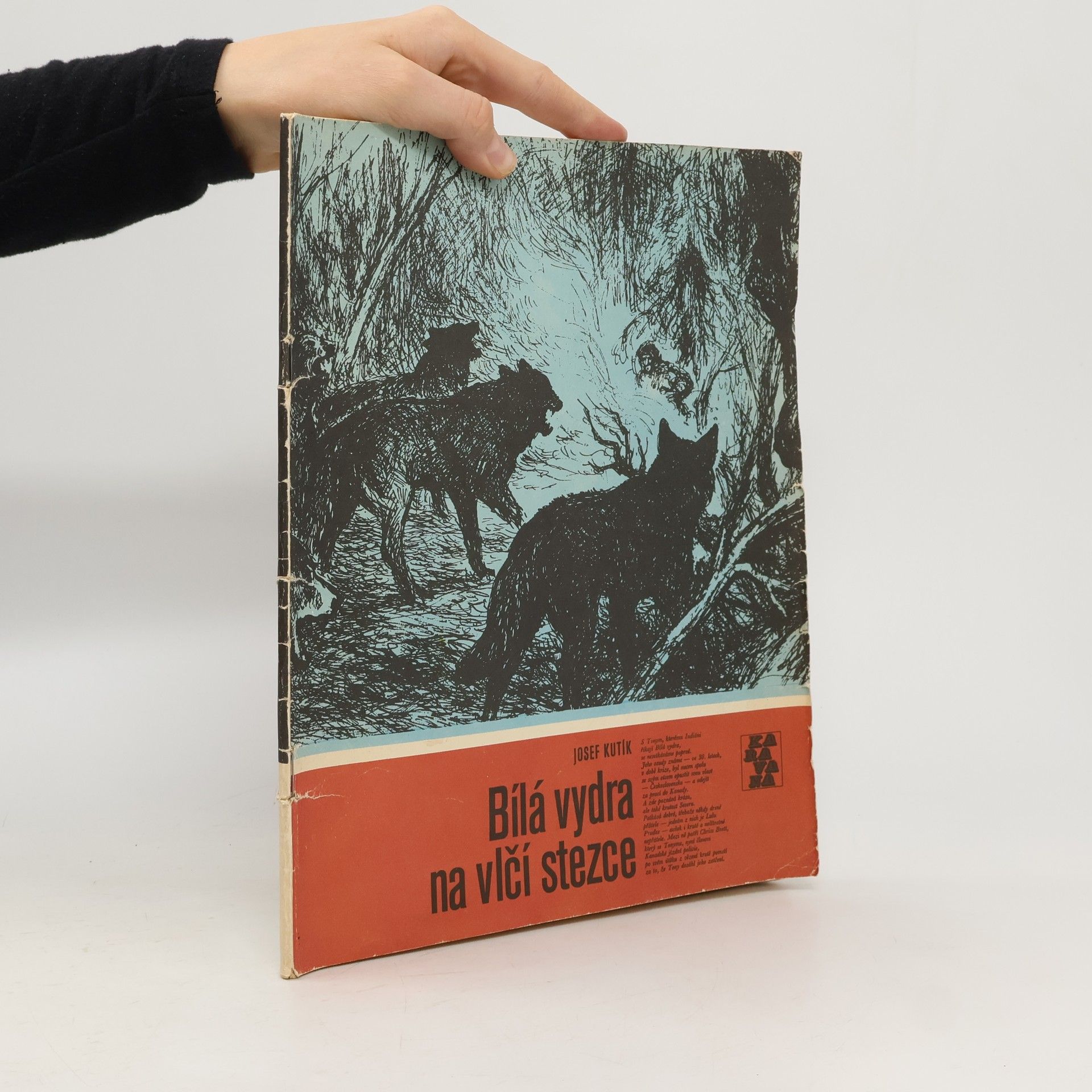 Josef Kutík Karavana č. 186. Bílá vydra na vlčí stezce
