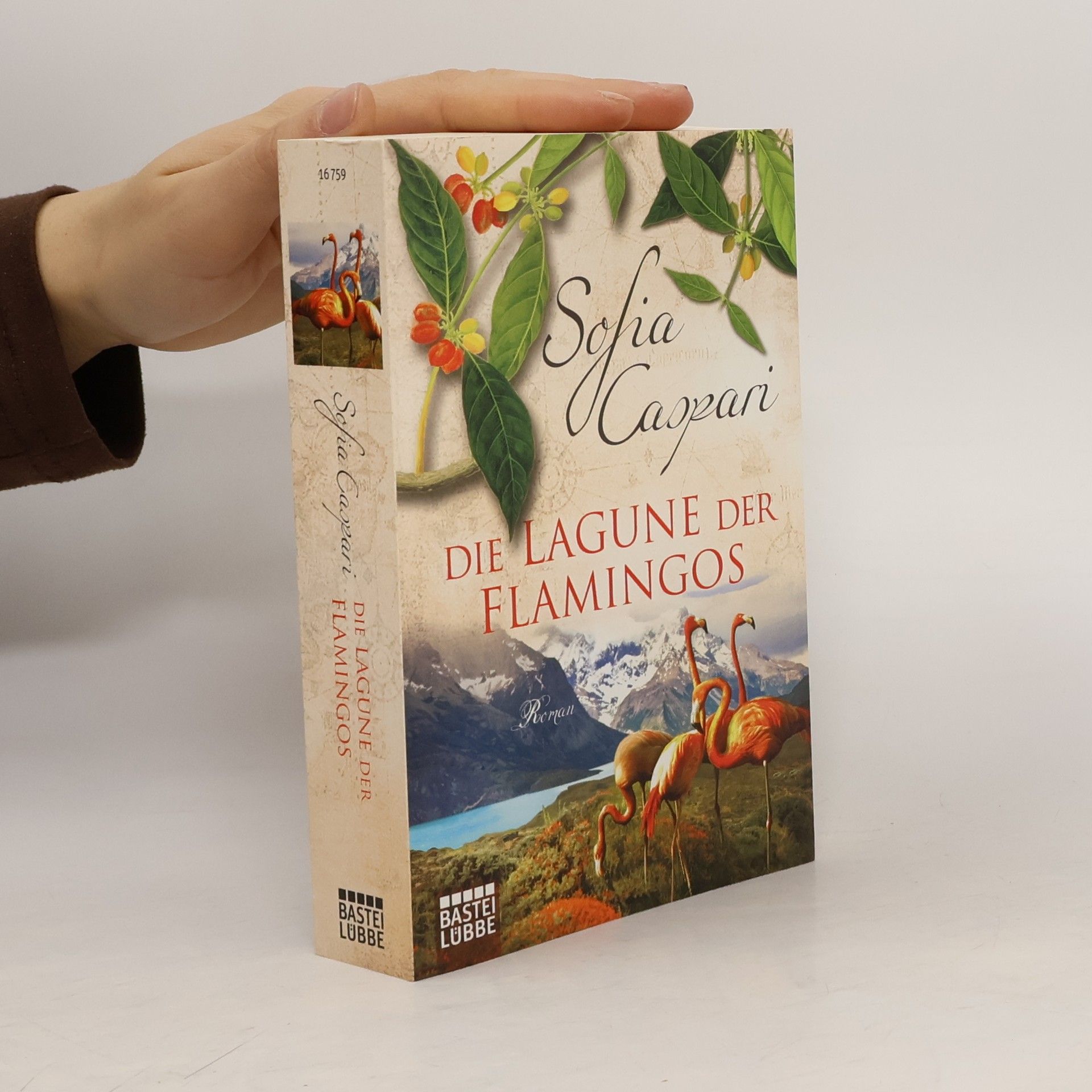 Sofia Caspari Die Lagune der Flamingos