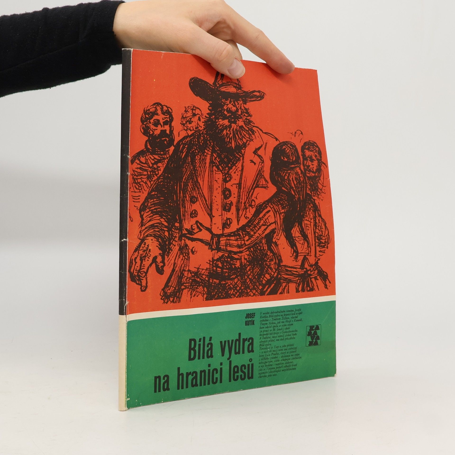 Bílá vydra na hranici lesů