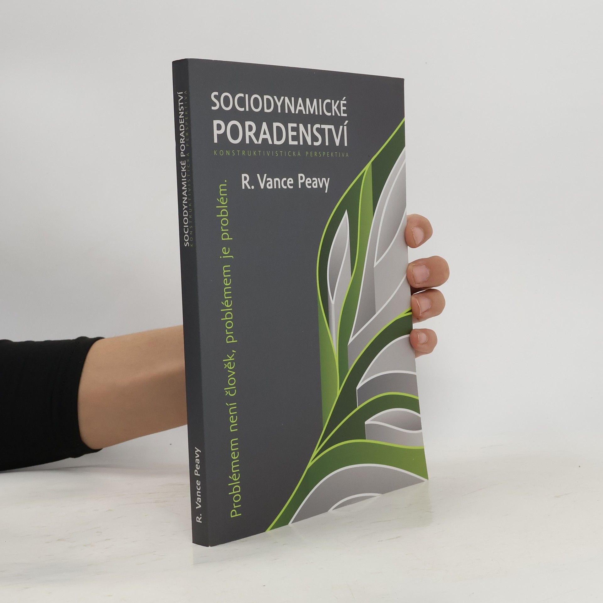 R. Vance Peavy Sociodynamické poradenství : konstruktivistická perspektiva