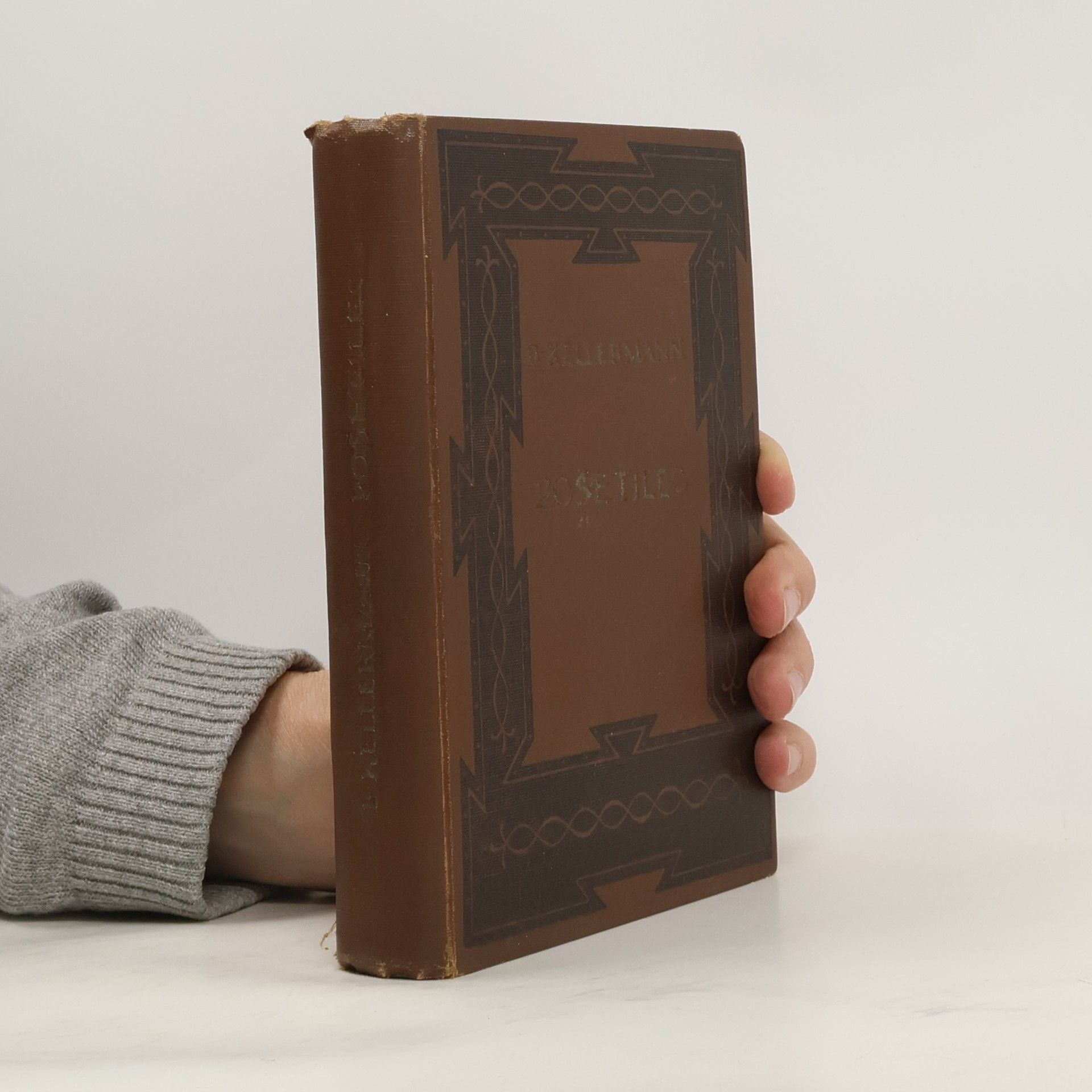 Bernhard Kellermann Pošetilec