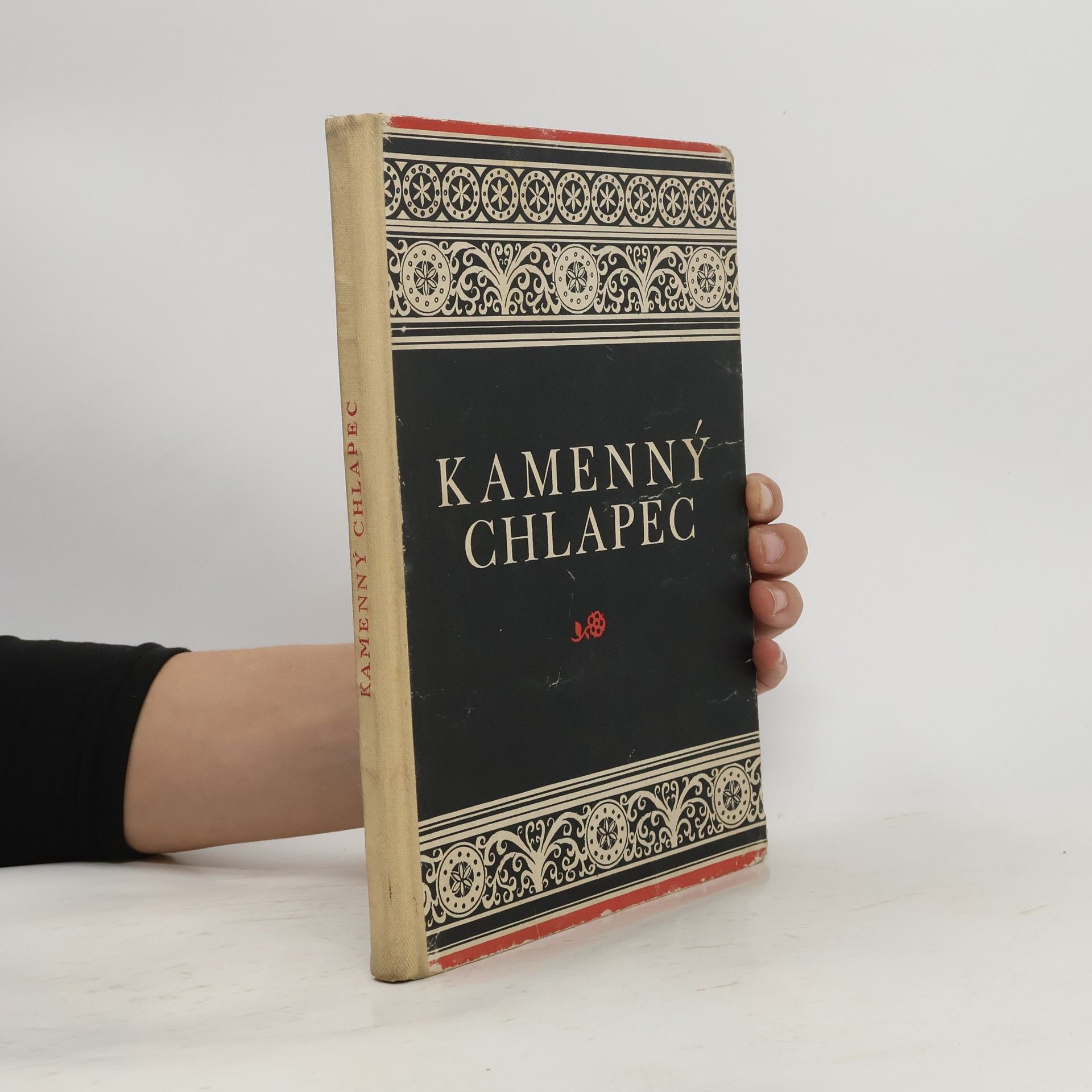 František Holešovský Kamenný chlapec