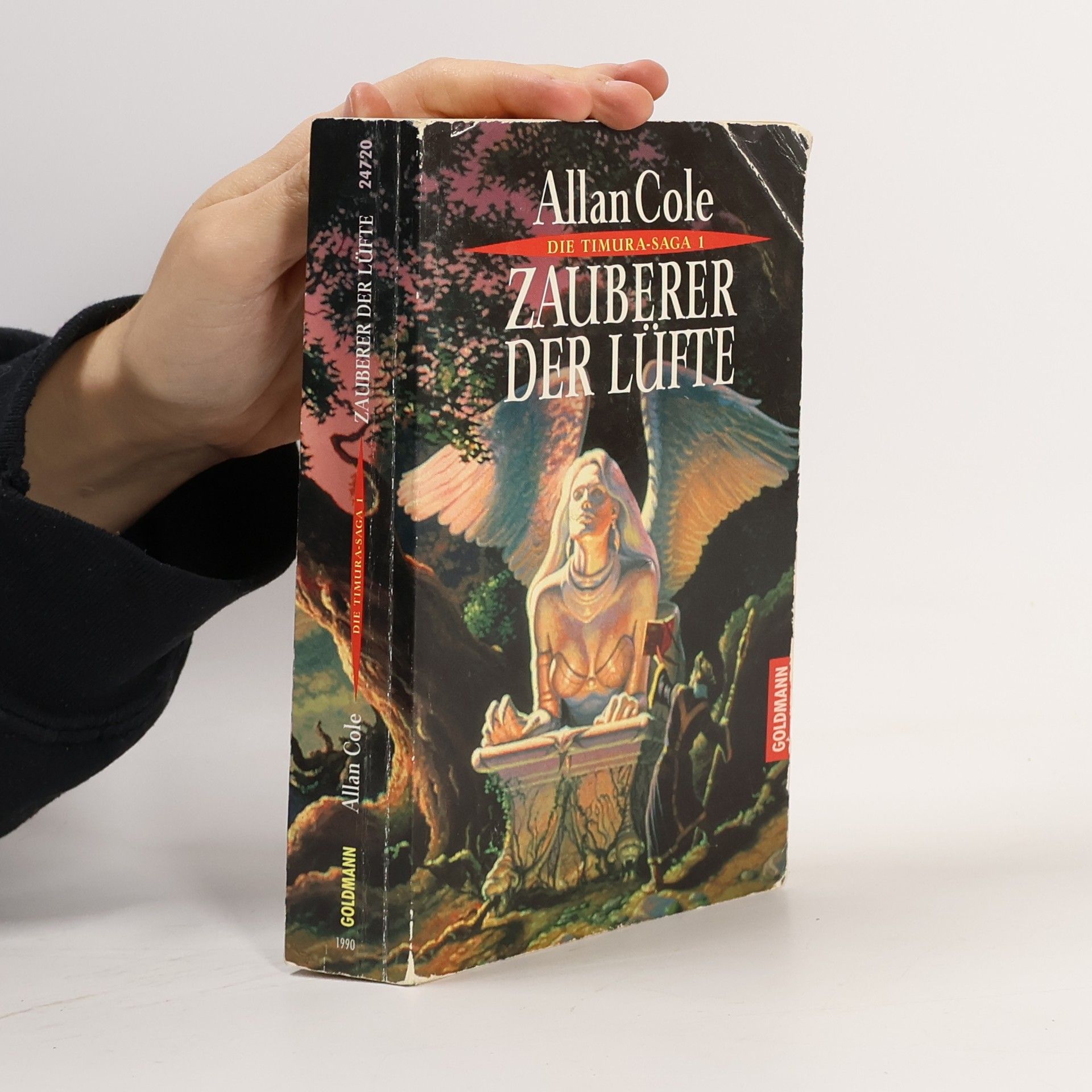 Zauberer der Lüfte. Roman