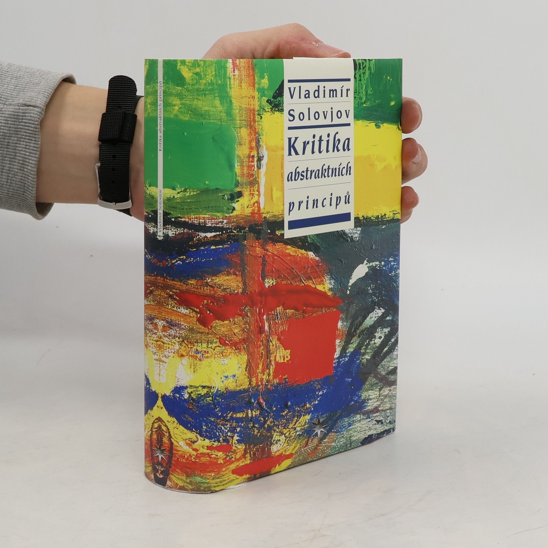 Wladimir Sergejewitsch Solowjow Kritika abstraktních principů