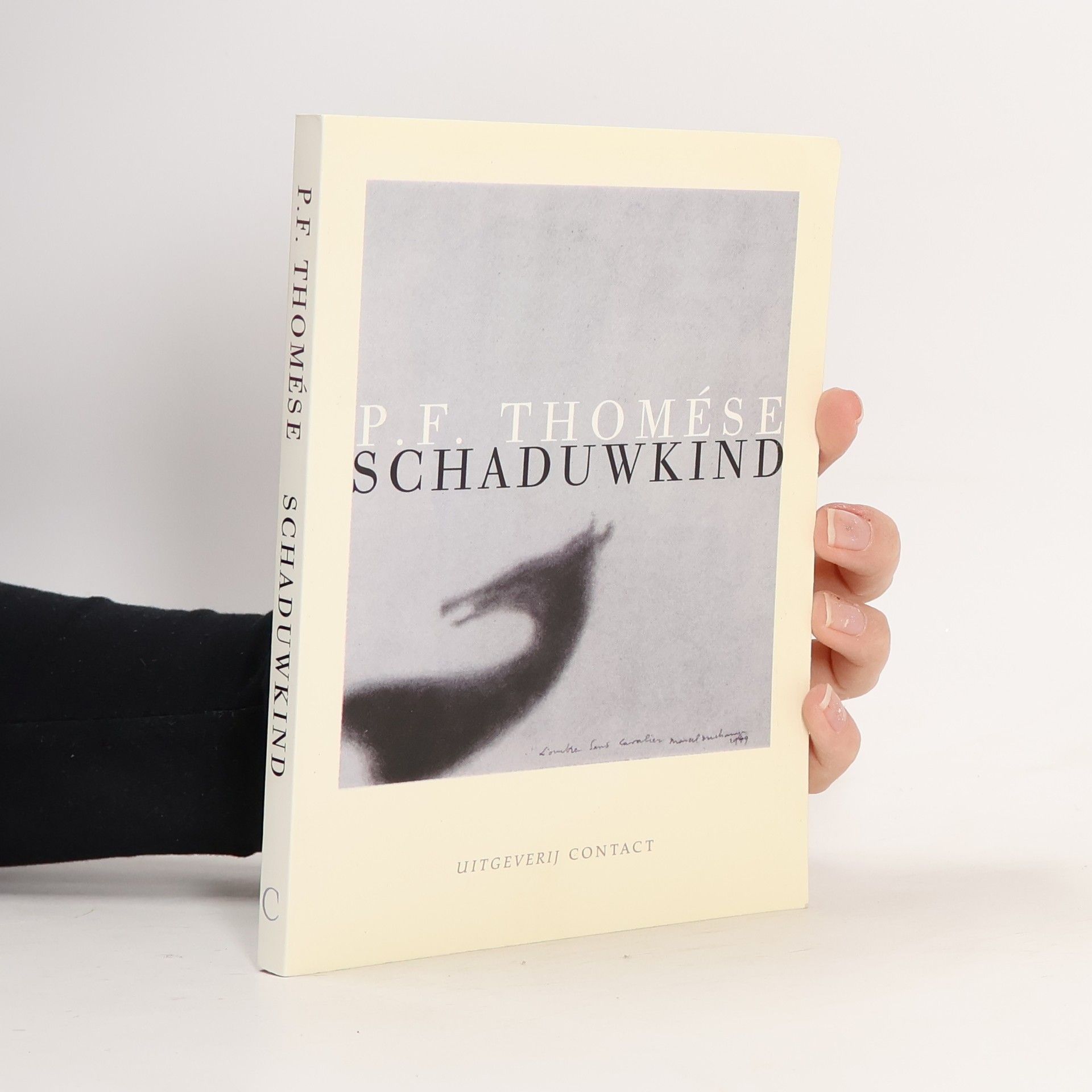 Pieter Frans Thomése Schaduwkind