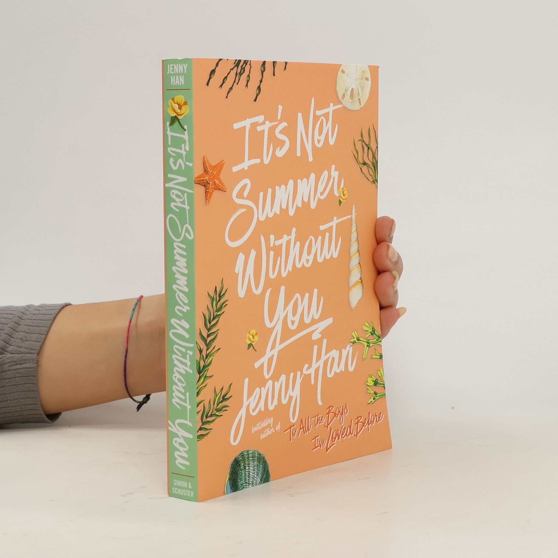 Jenny Han It's Not Summer Without You