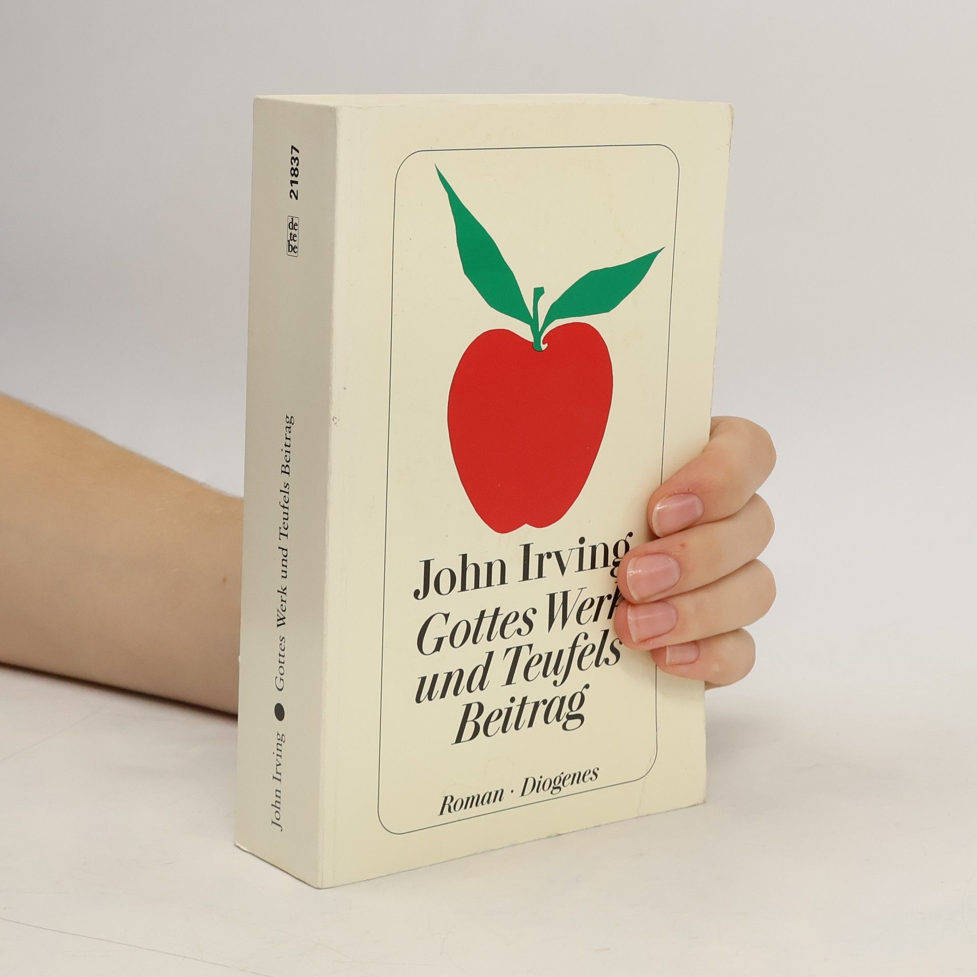 John Irving Gottes Werk und Teufels Beitrag