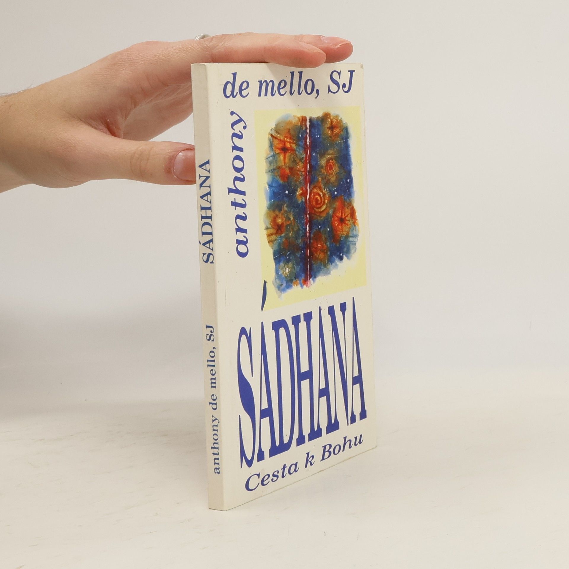 Pavel Kolmačka Sádhana. Cesta k Bohu