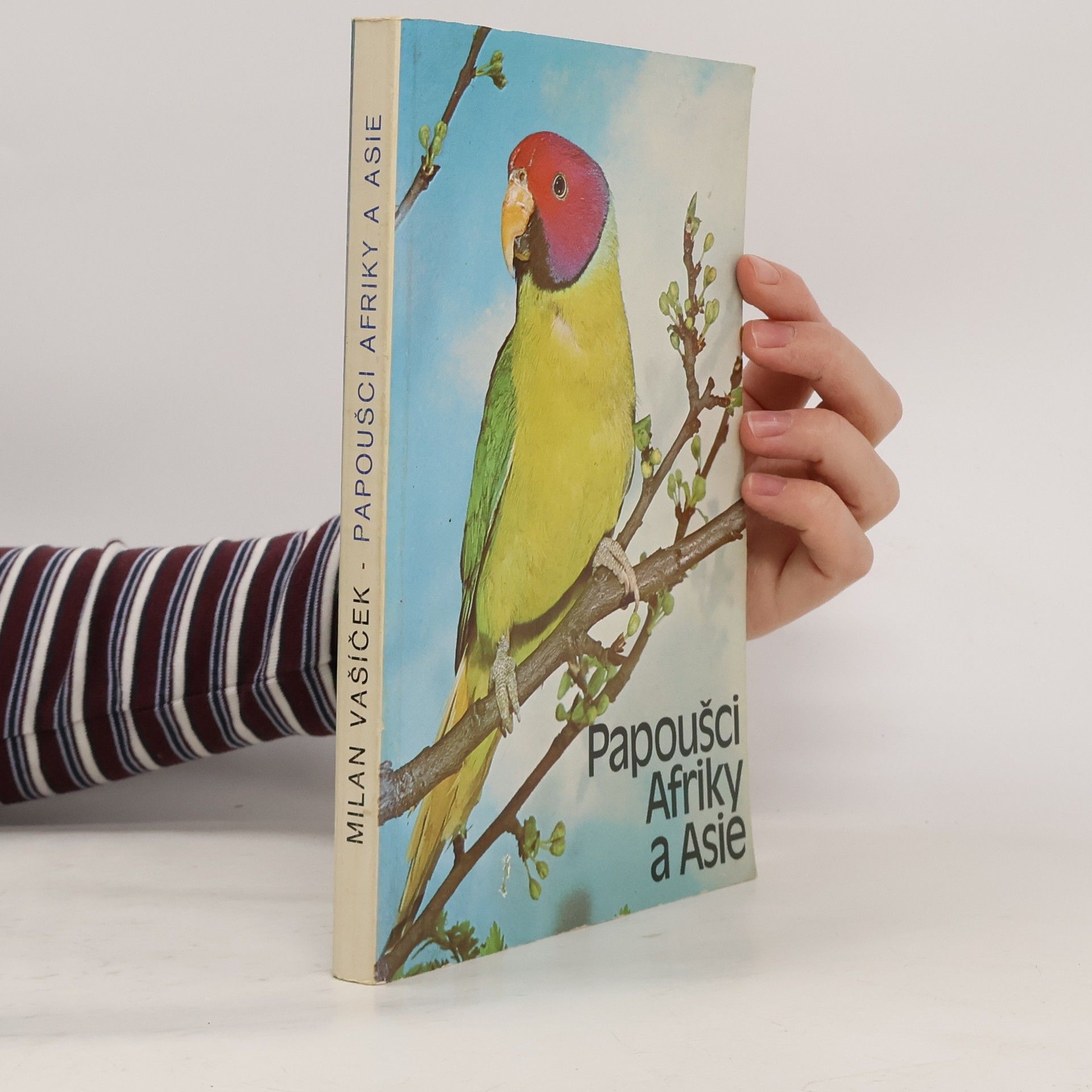 Papoušci Afriky a Asie