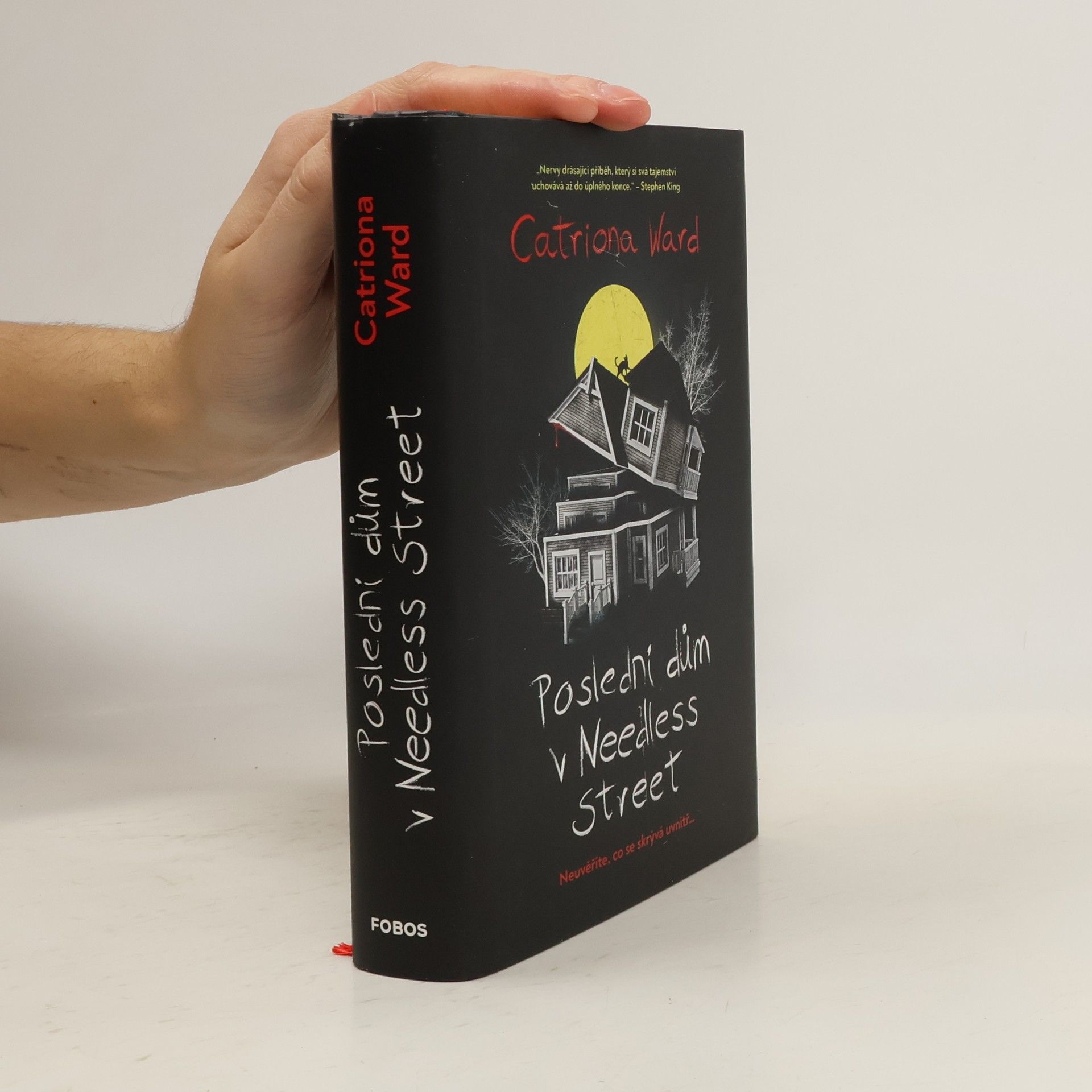 Catriona Ward Poslední dům v Needless Street