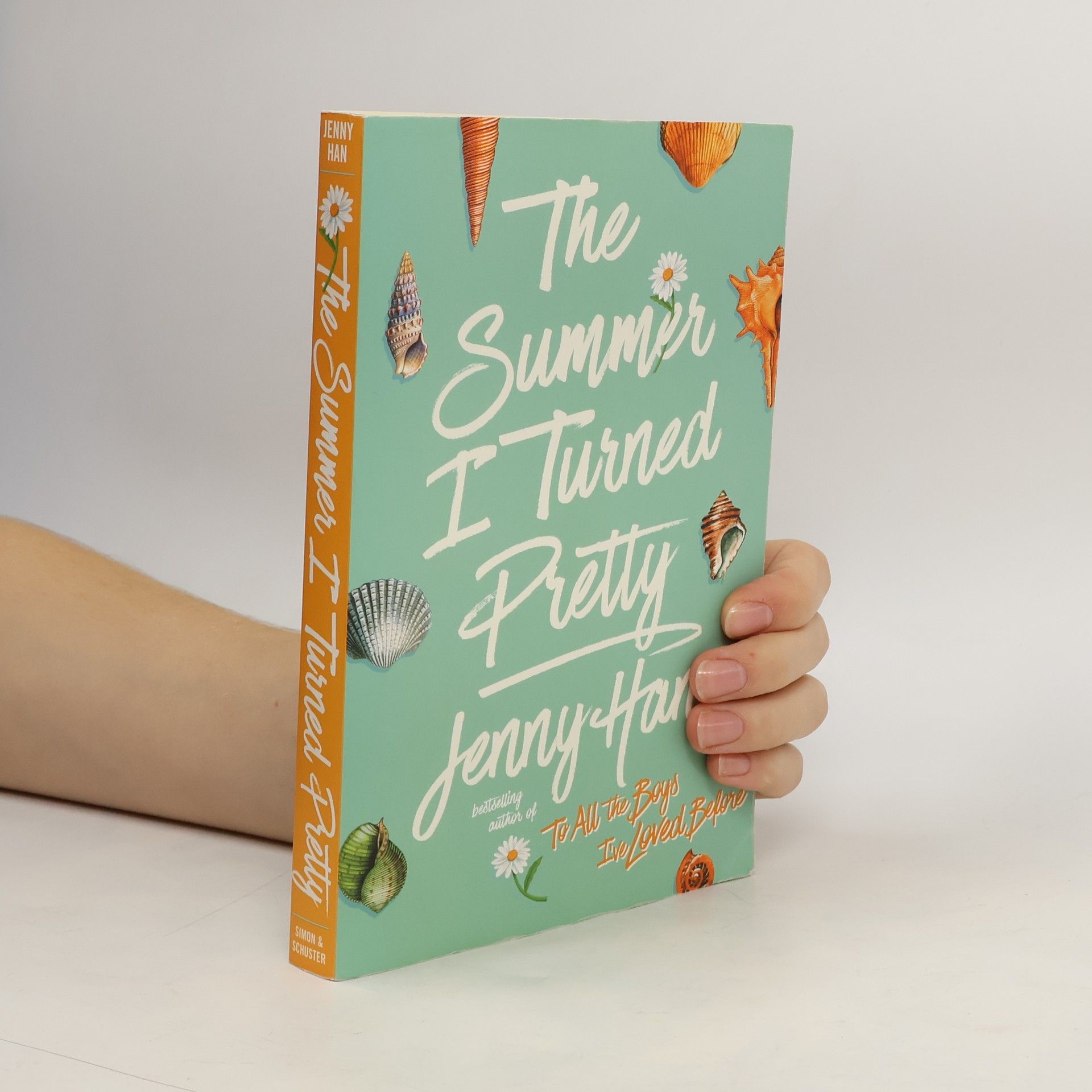 Jenny Han The Summer I Turned Pretty