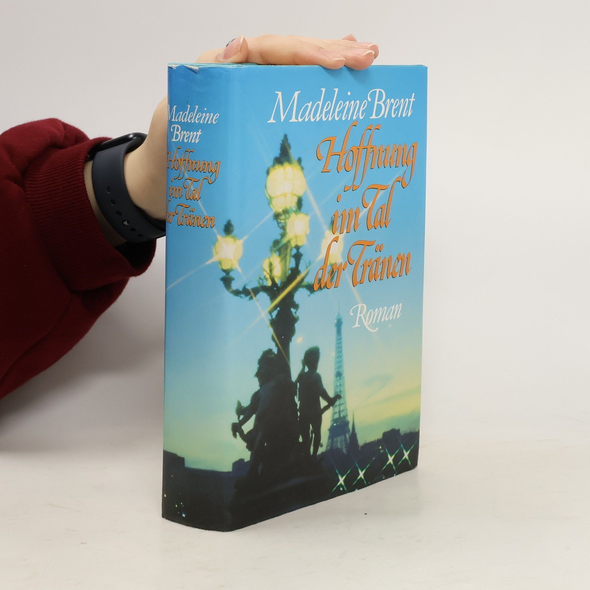 Madeleine Brent Hoffnung im Tal der Tränen